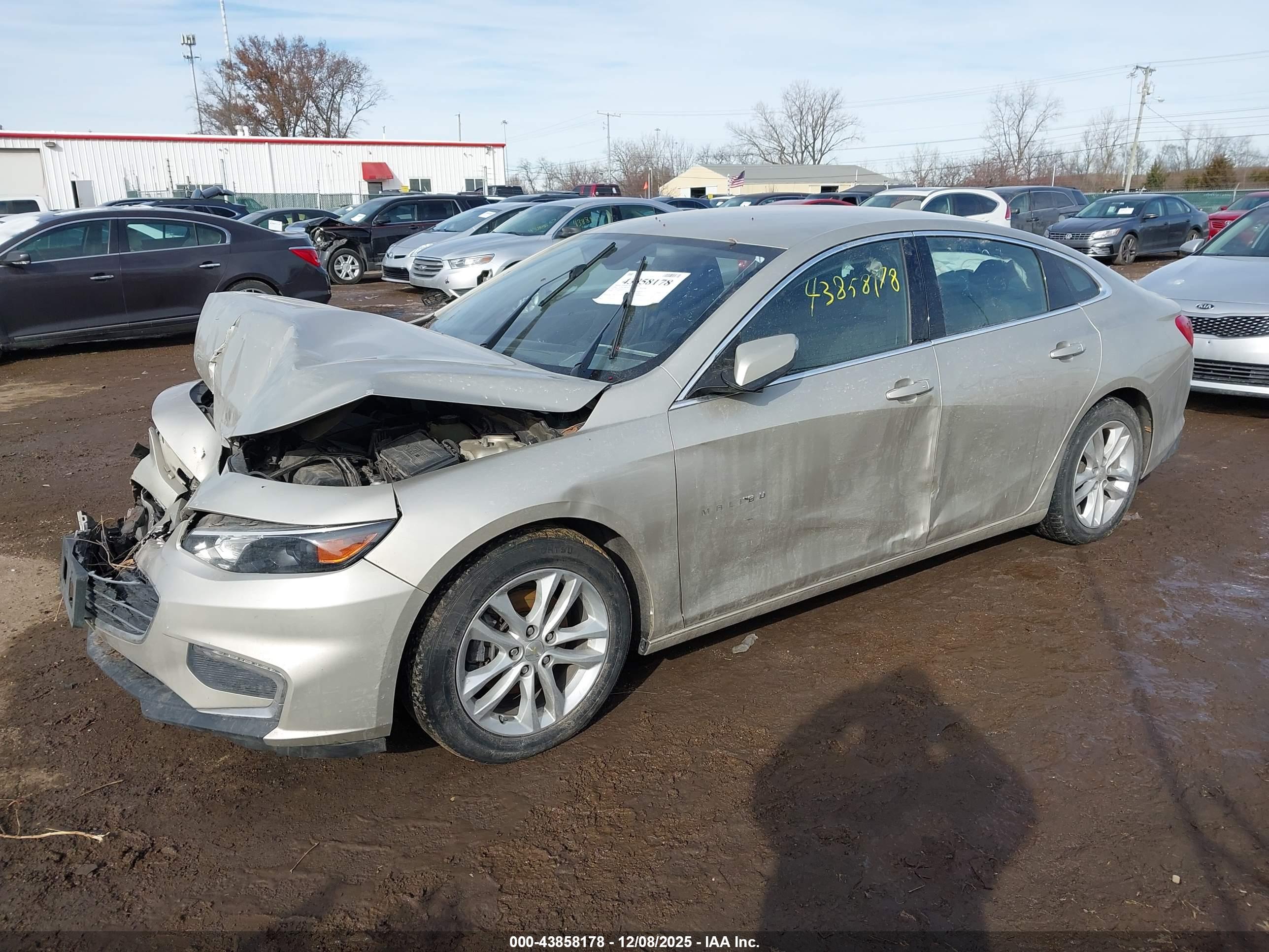CHEVROLET MALIBU image 2