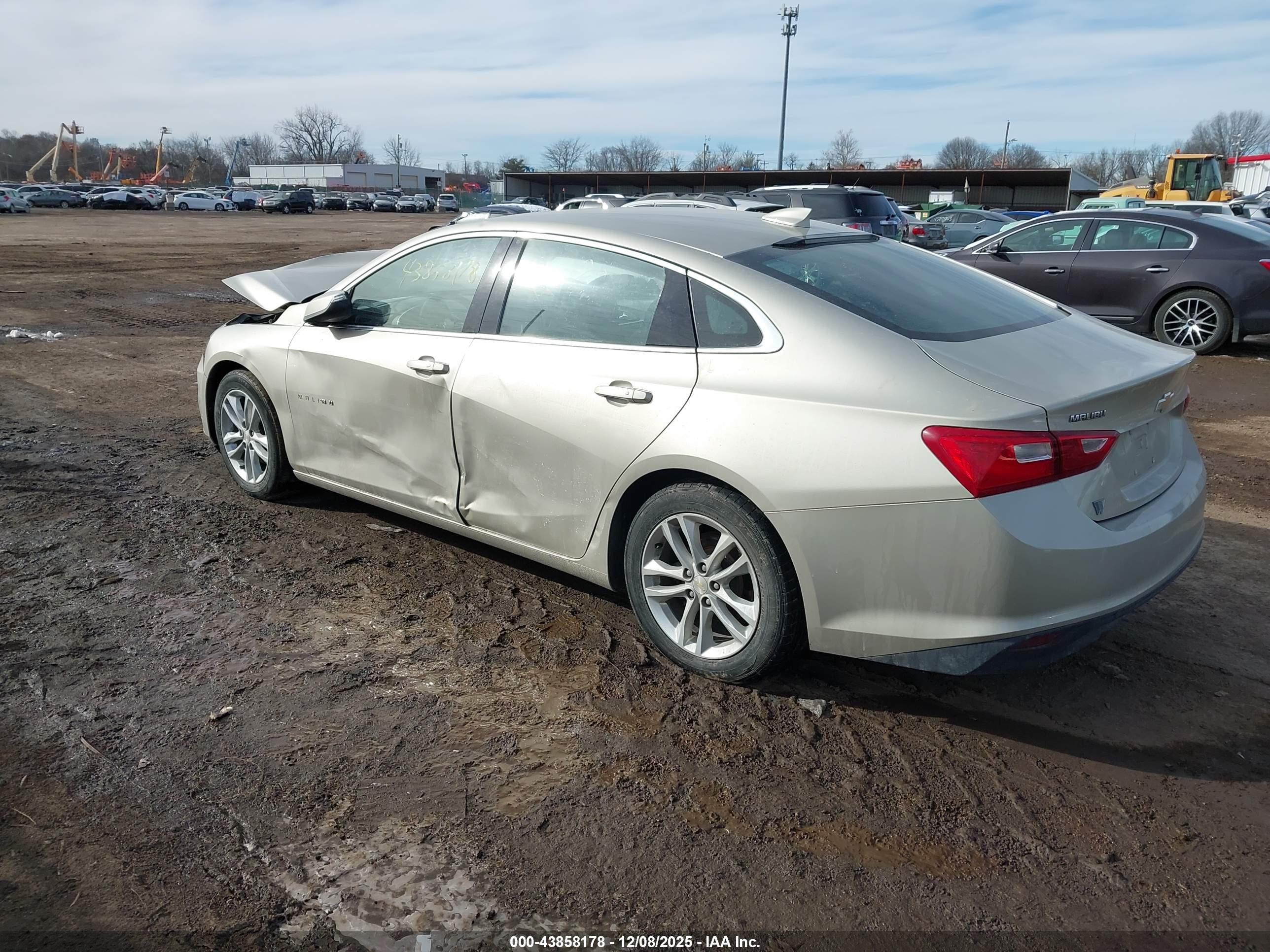 CHEVROLET MALIBU image 3