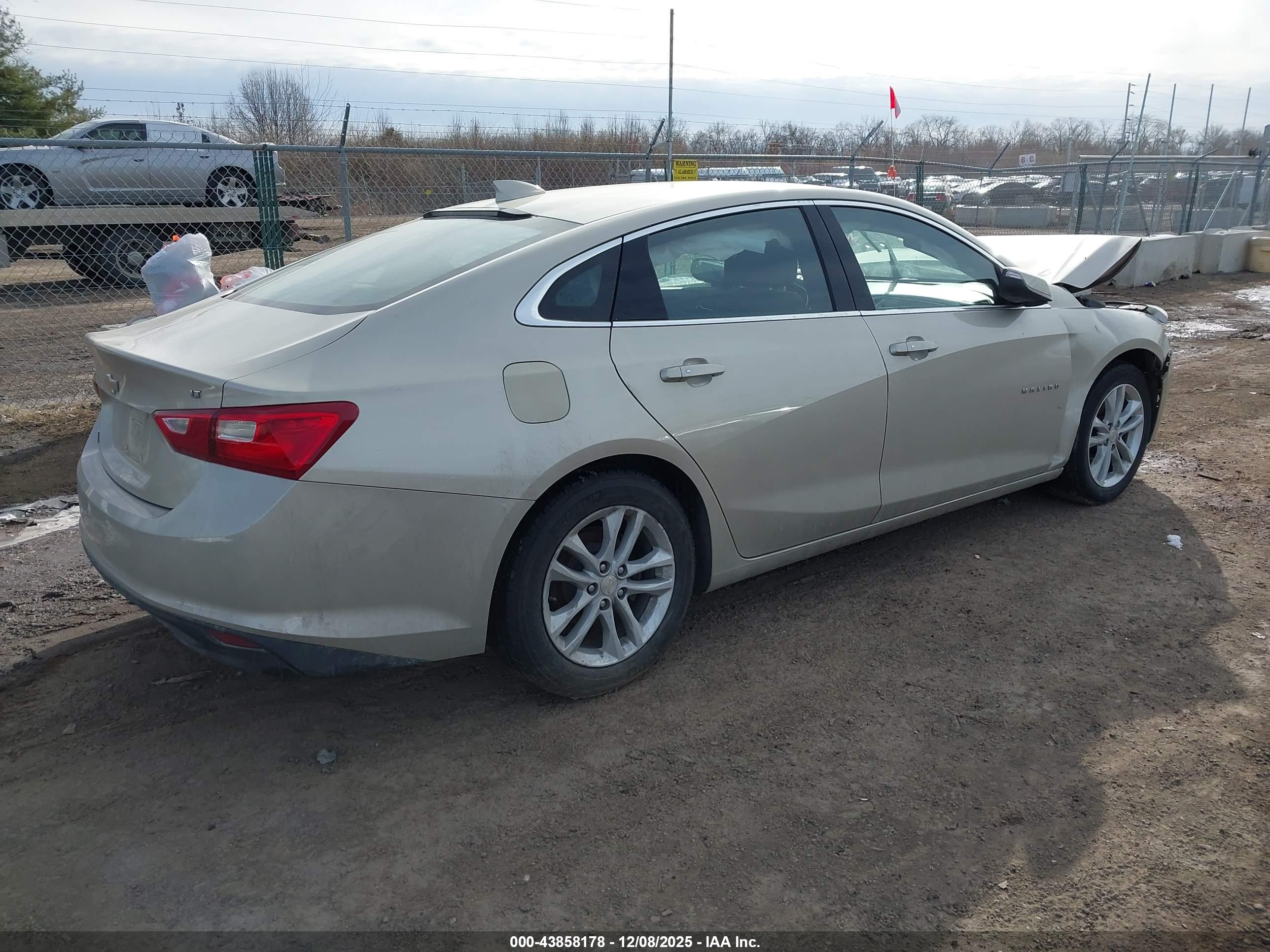 CHEVROLET MALIBU image 4
