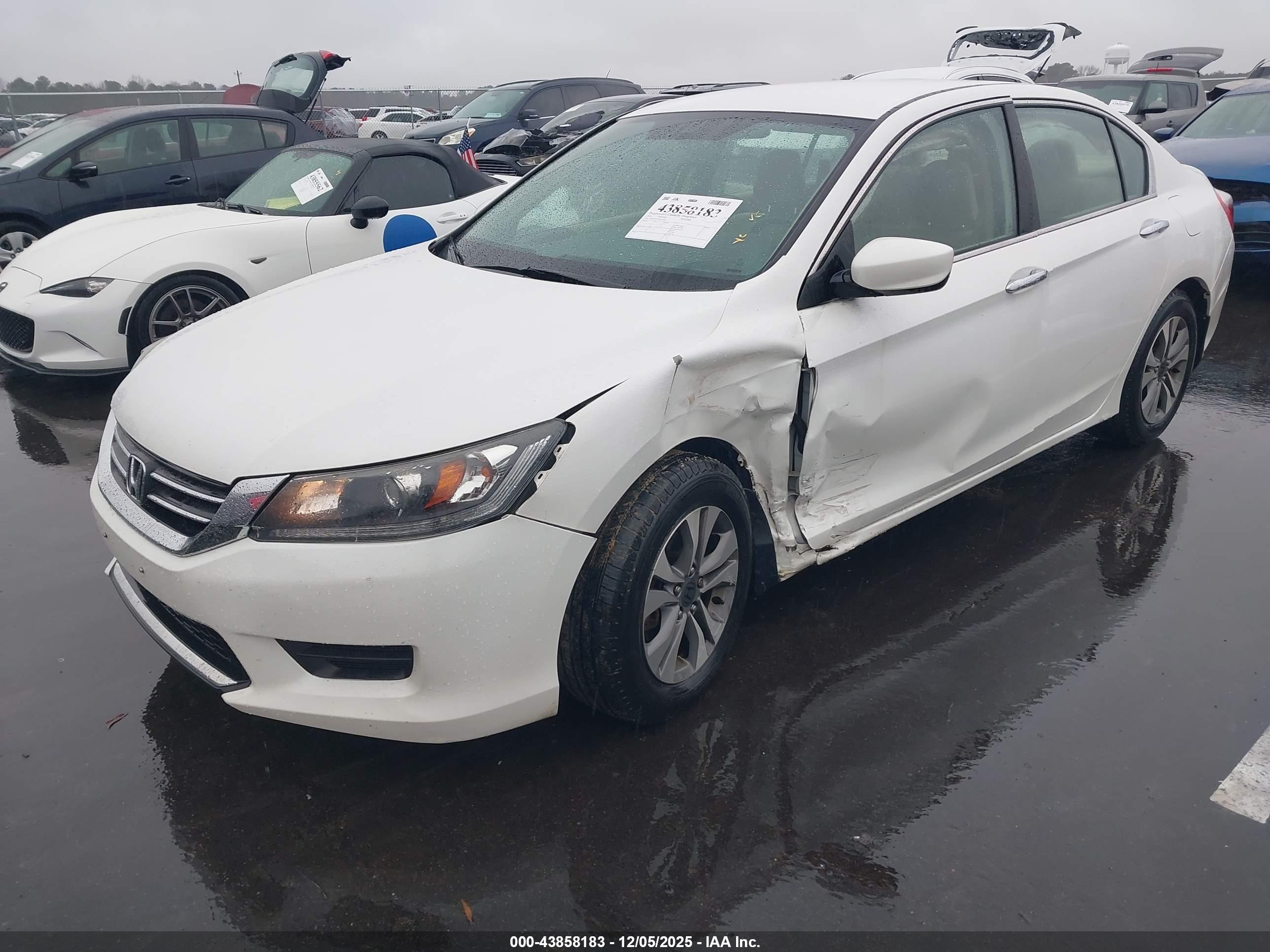 HONDA ACCORD image 2