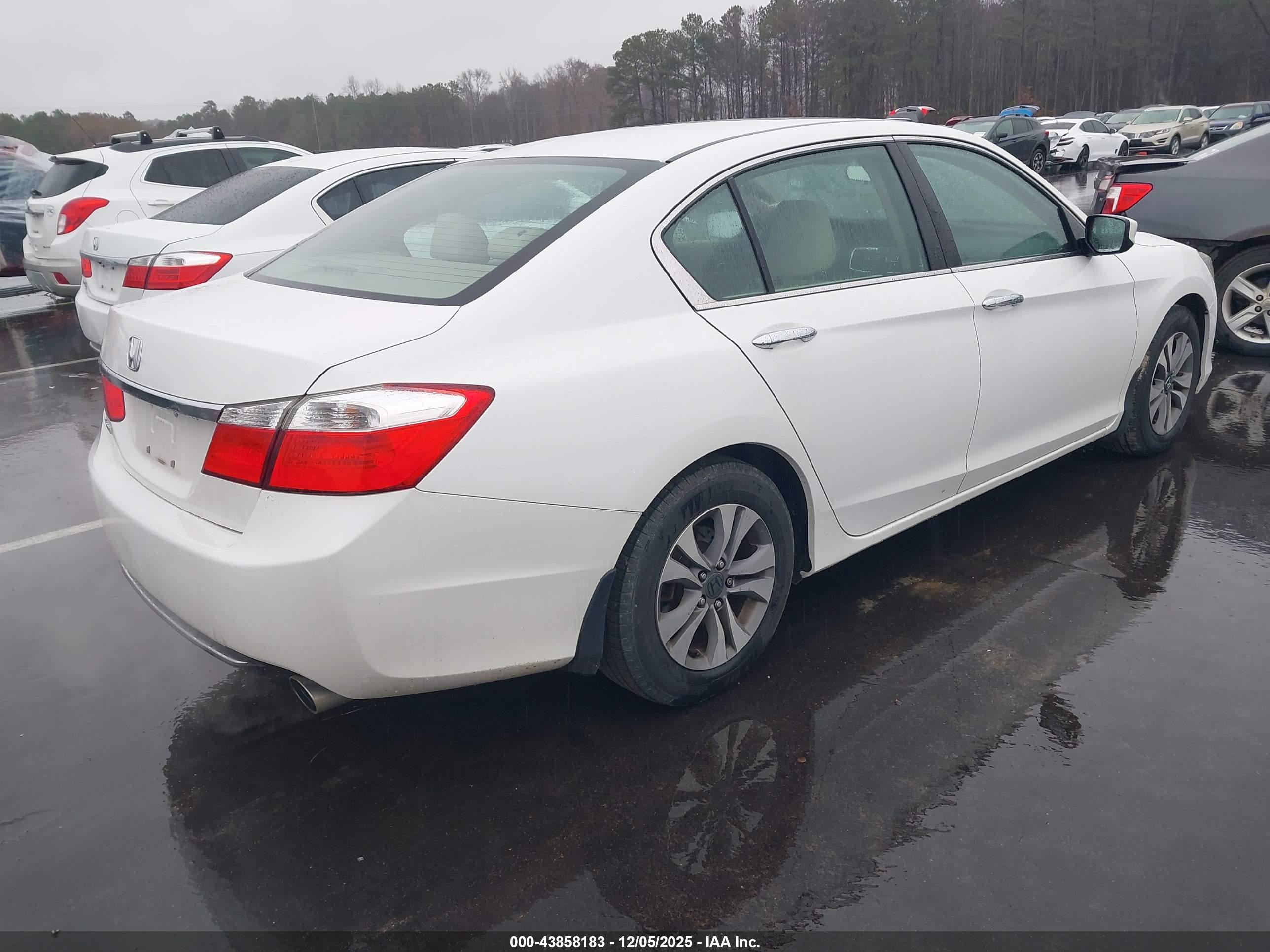HONDA ACCORD image 4