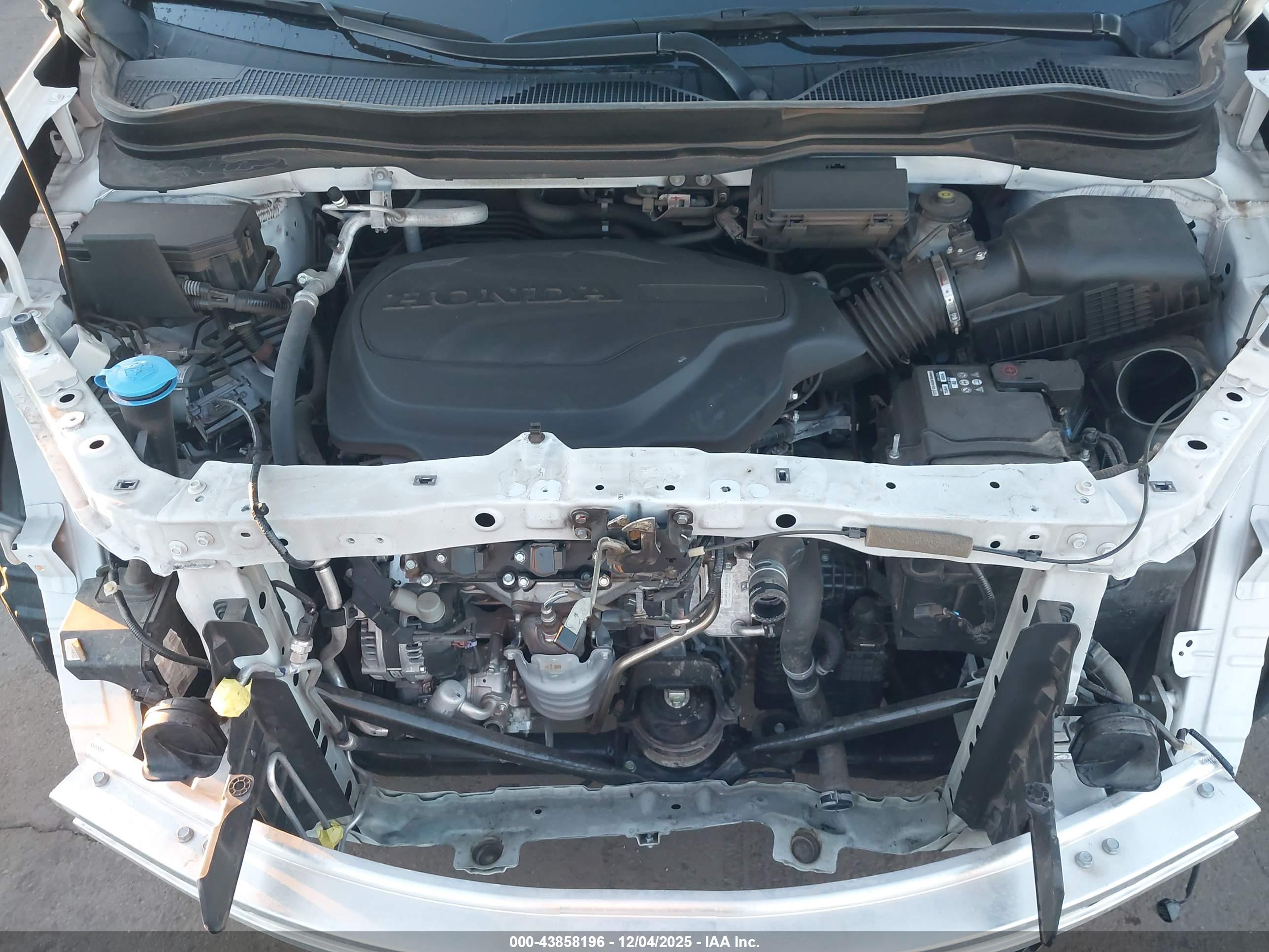 HONDA PASSPORT image 10
