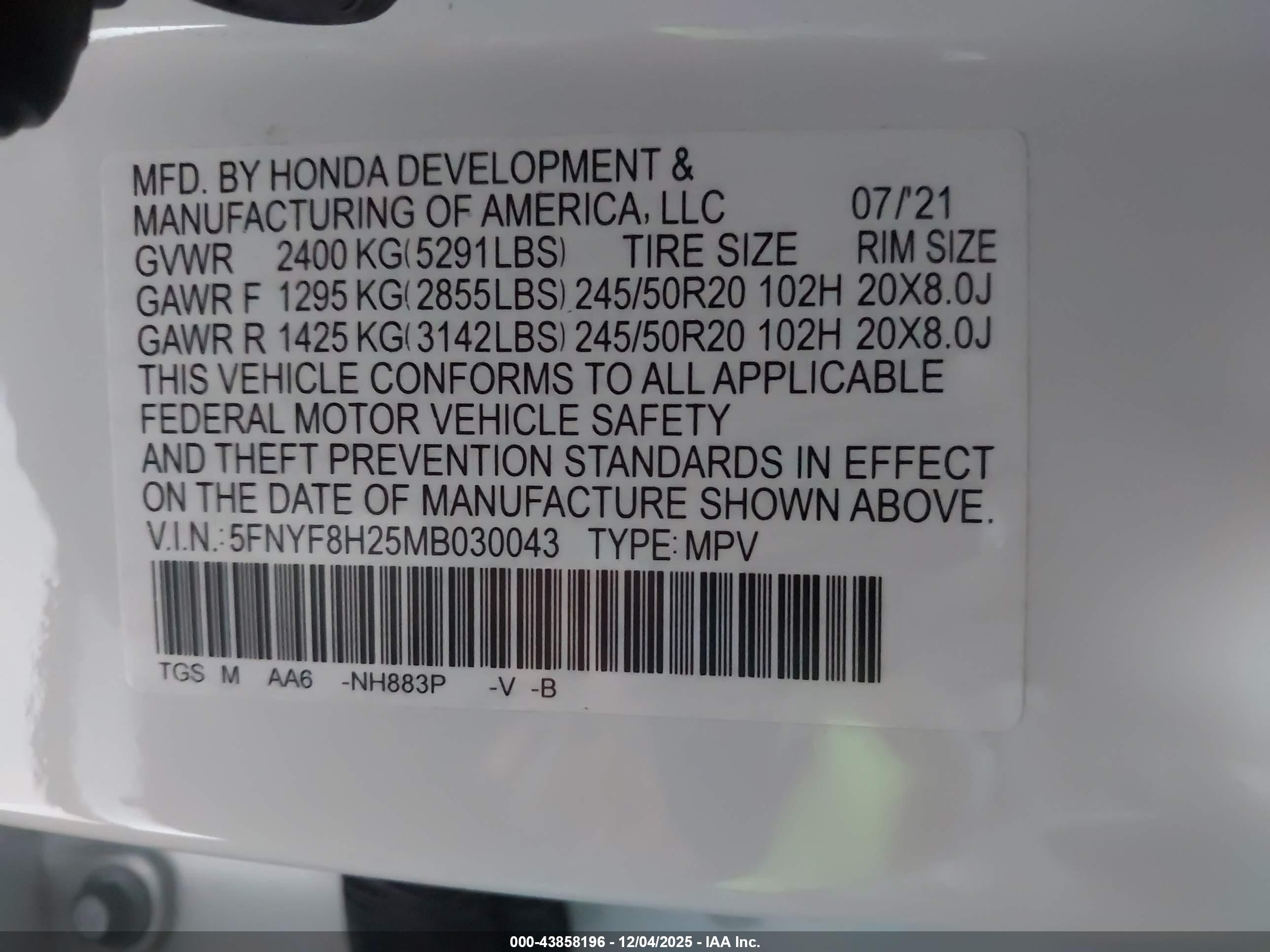 HONDA PASSPORT image 9