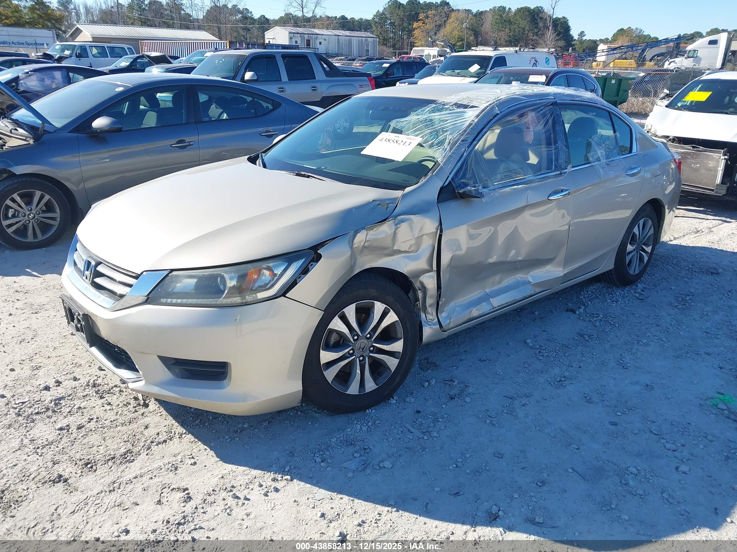 HONDA ACCORD image 2