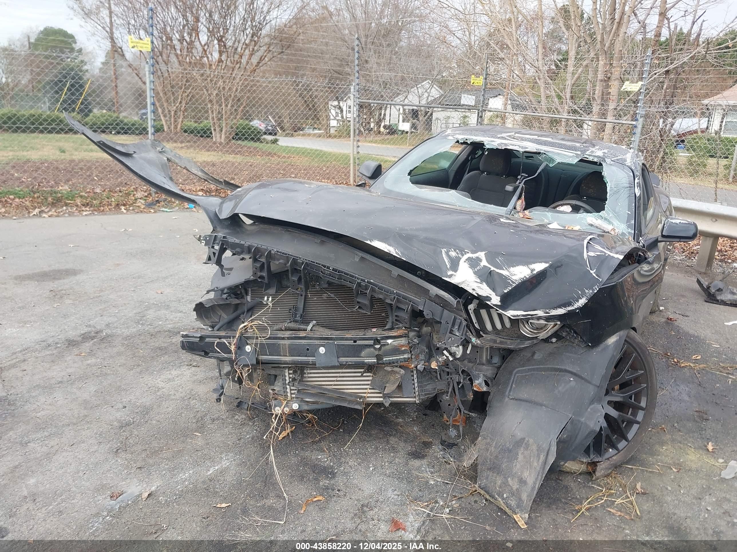 FORD MUSTANG image 6