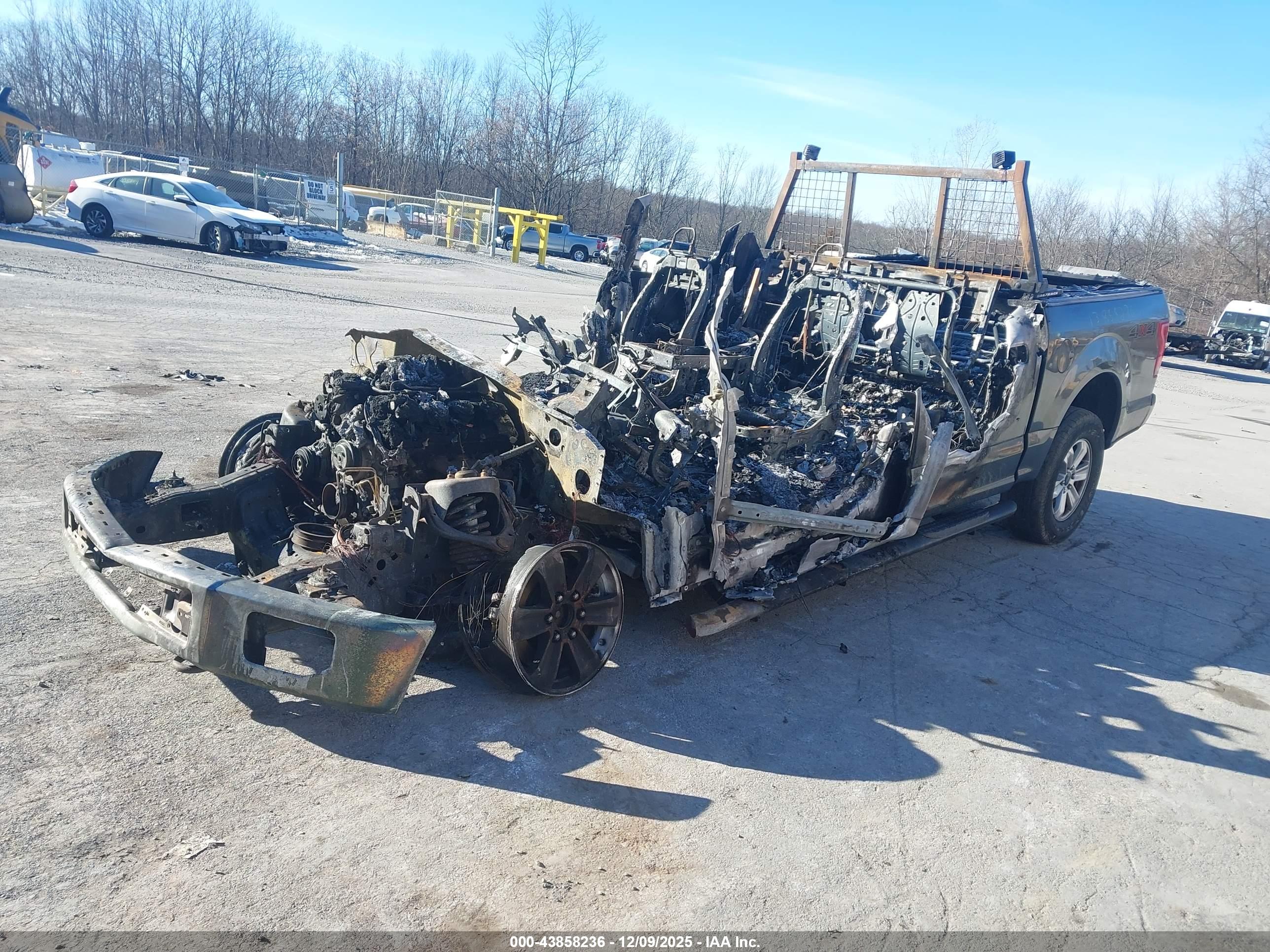 FORD F-150 image 2