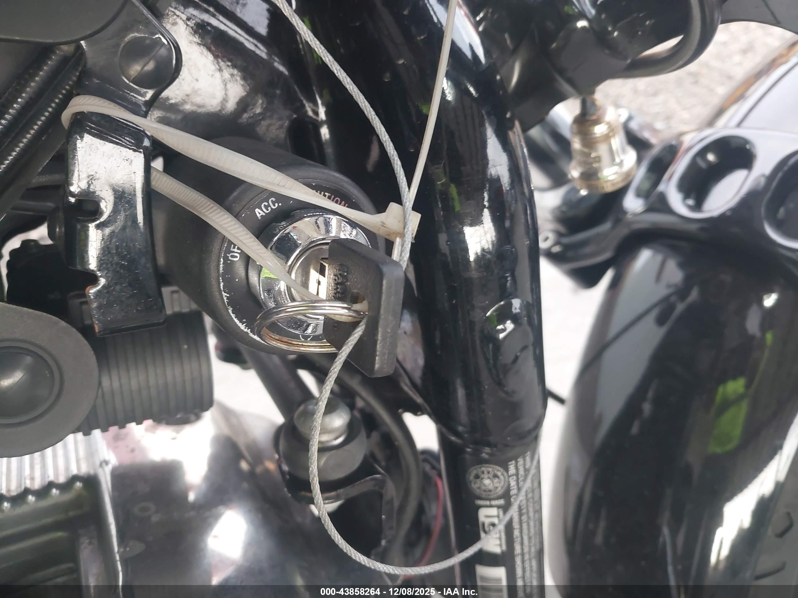 HARLEY-DAVIDSON XL1200 image 11