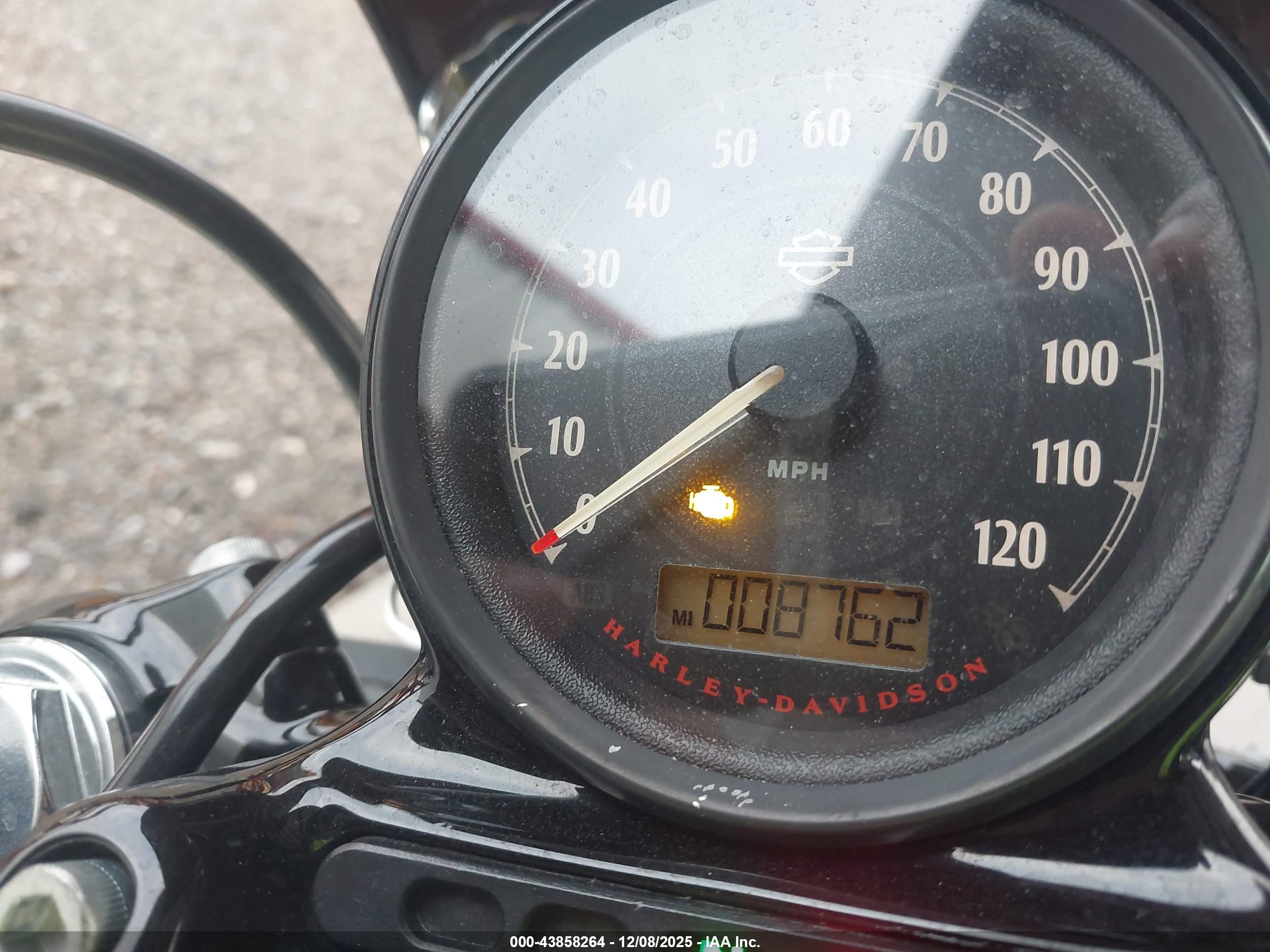 HARLEY-DAVIDSON XL1200 image 7