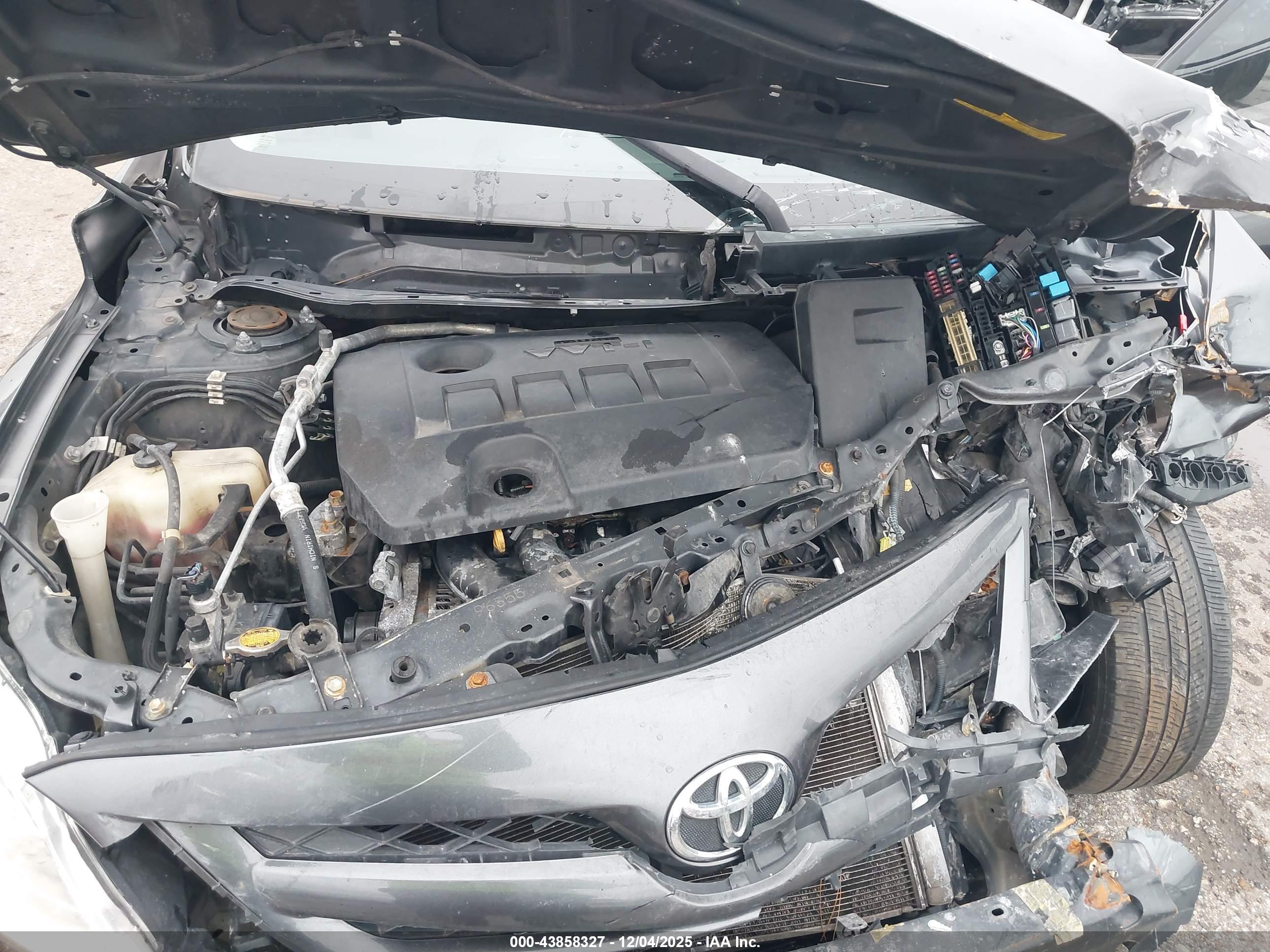 TOYOTA COROLLA image 10