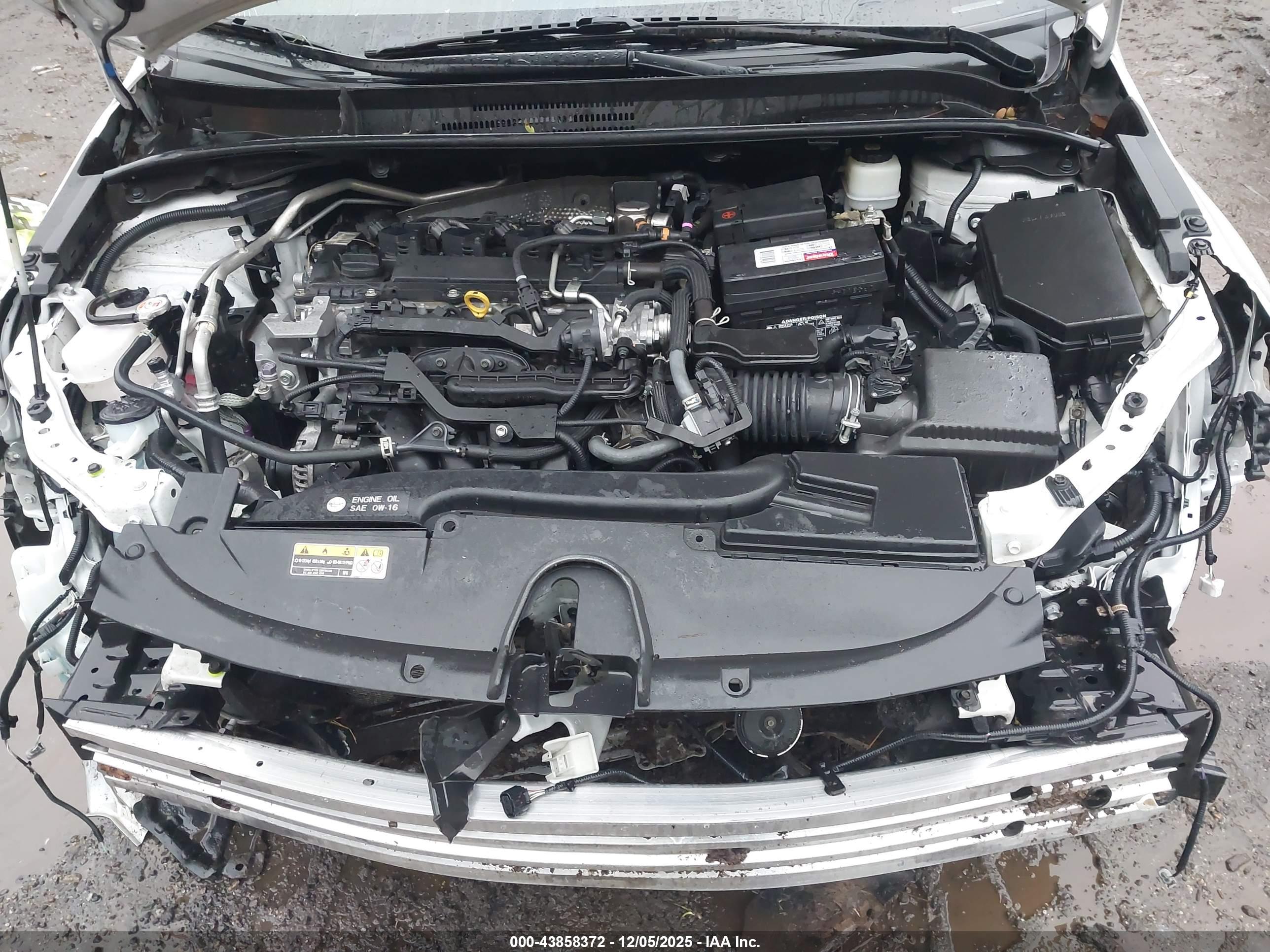 TOYOTA COROLLA image 10