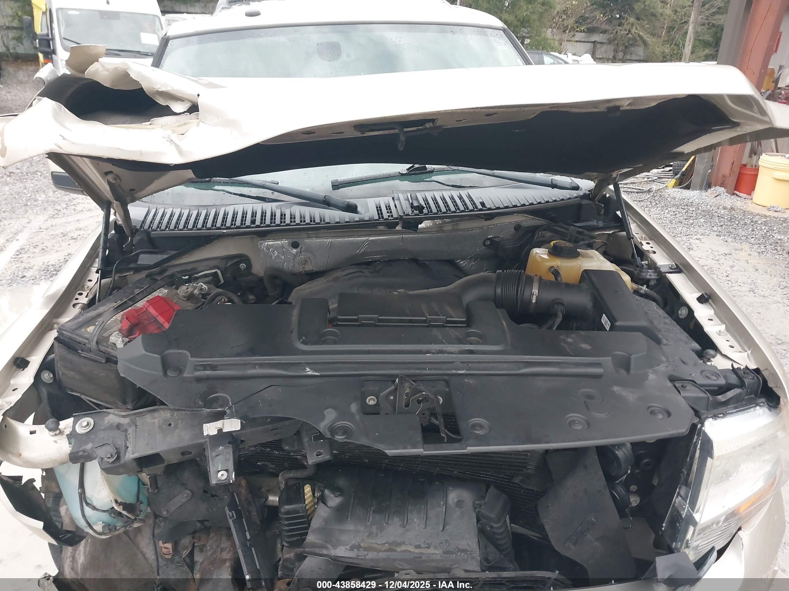 FORD EXPEDITION image 10