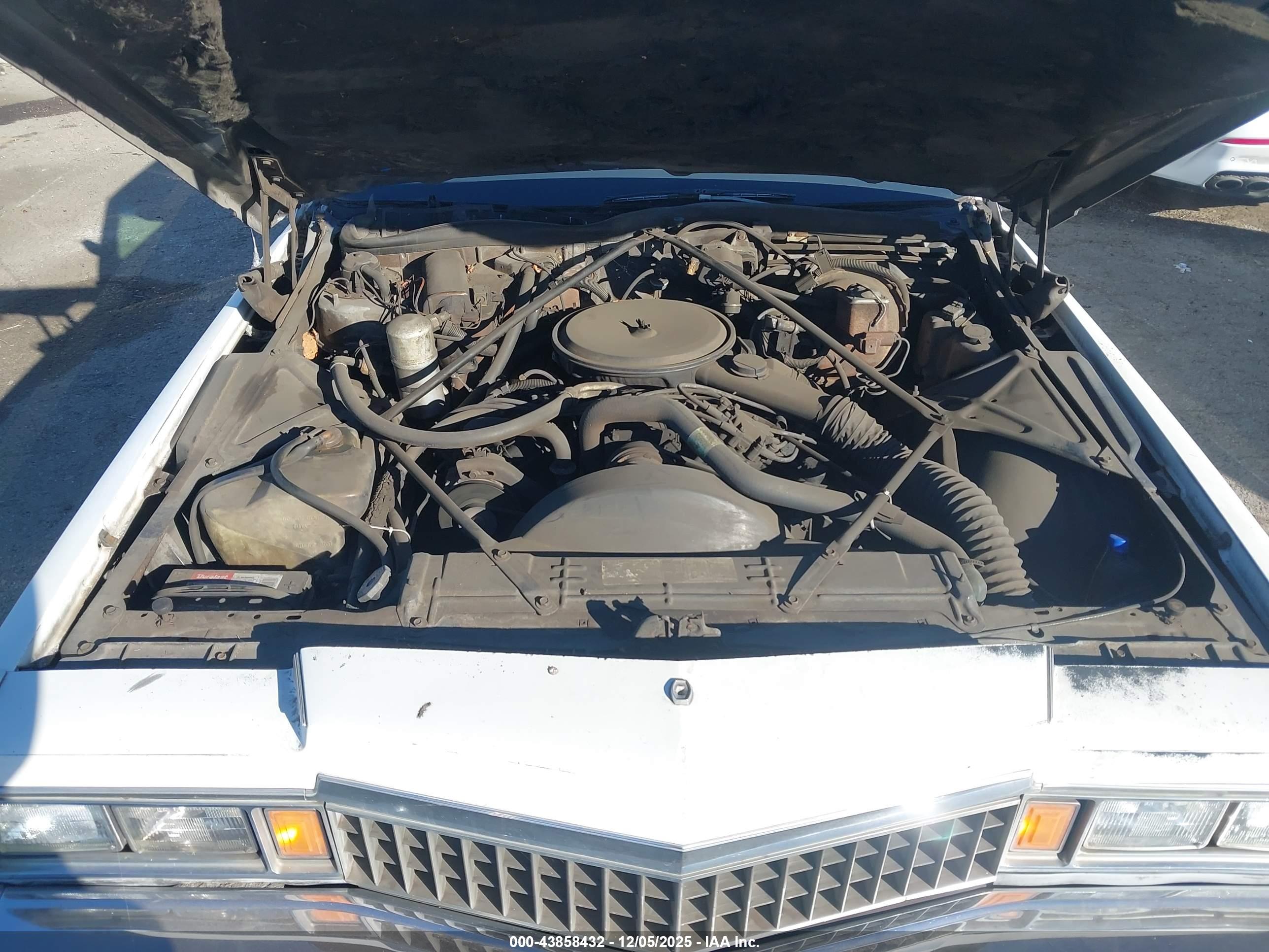 CADILLAC DEVILLE image 10