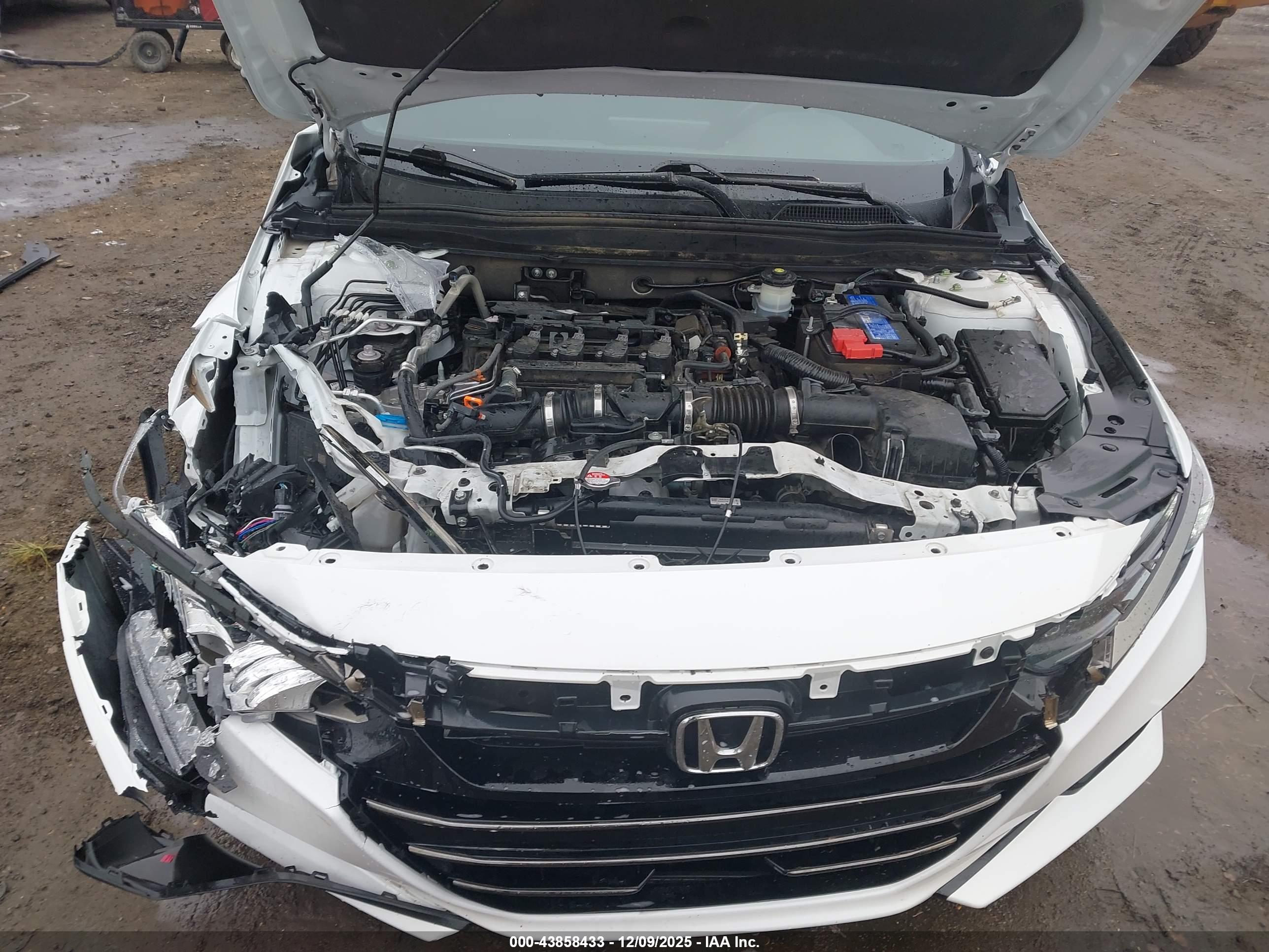 HONDA ACCORD image 10