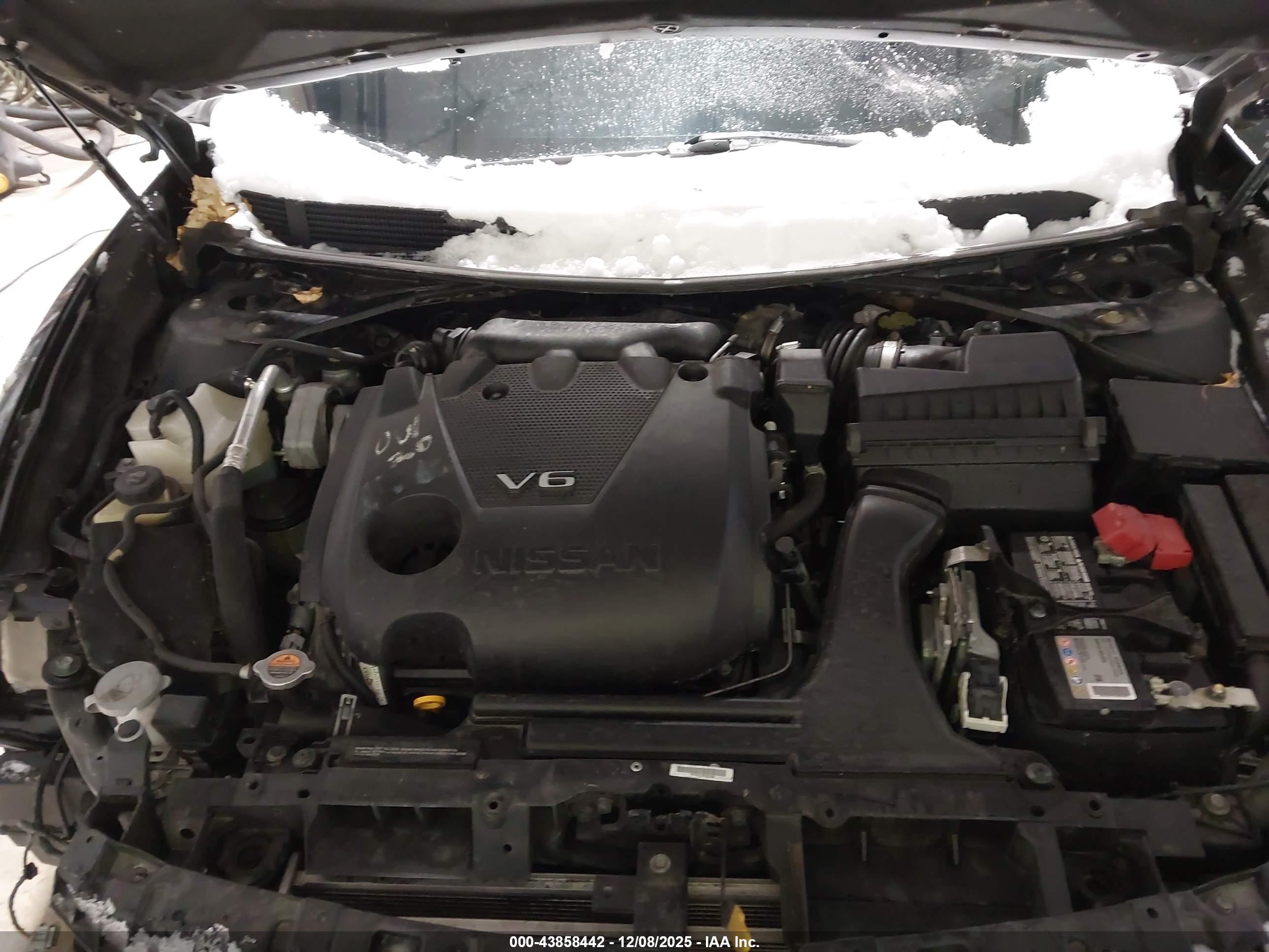 NISSAN MAXIMA image 10