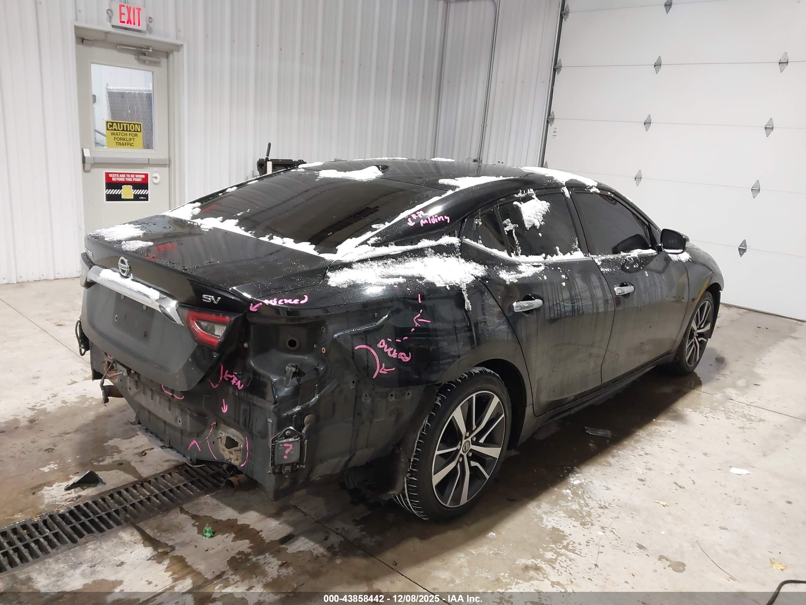NISSAN MAXIMA image 4