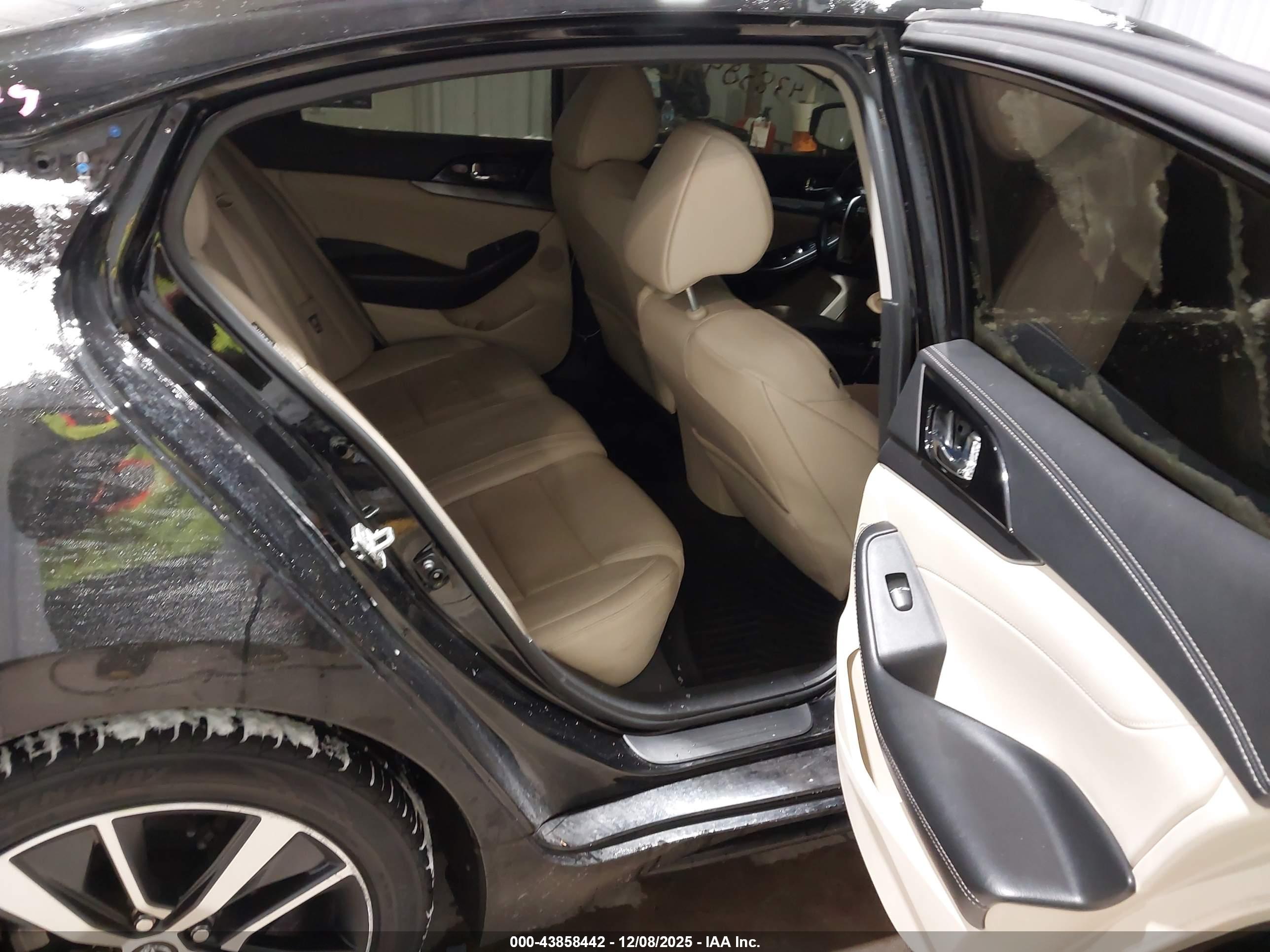 NISSAN MAXIMA image 8