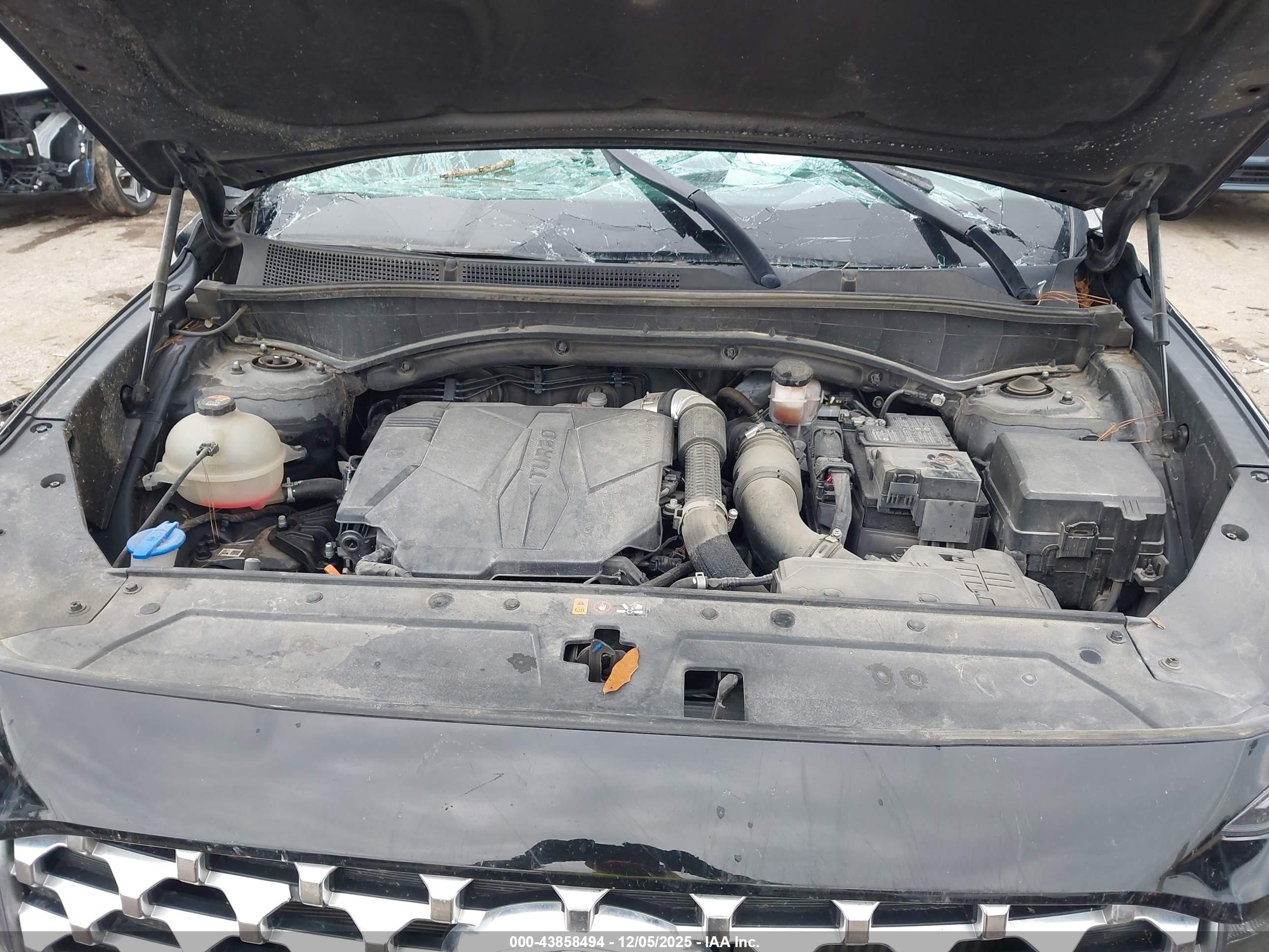 HYUNDAI SANTA image 10