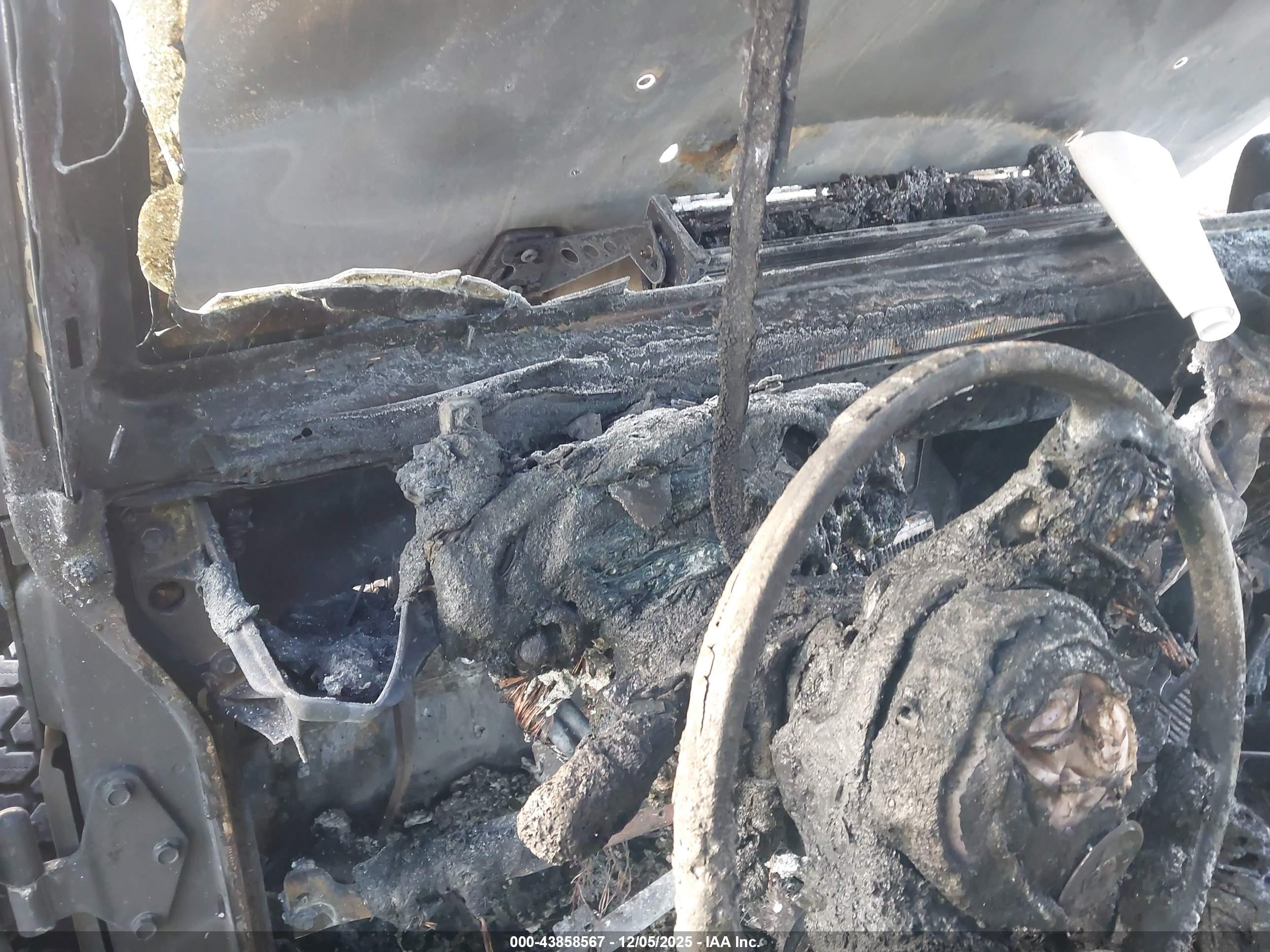 JEEP WRANGLER image 7