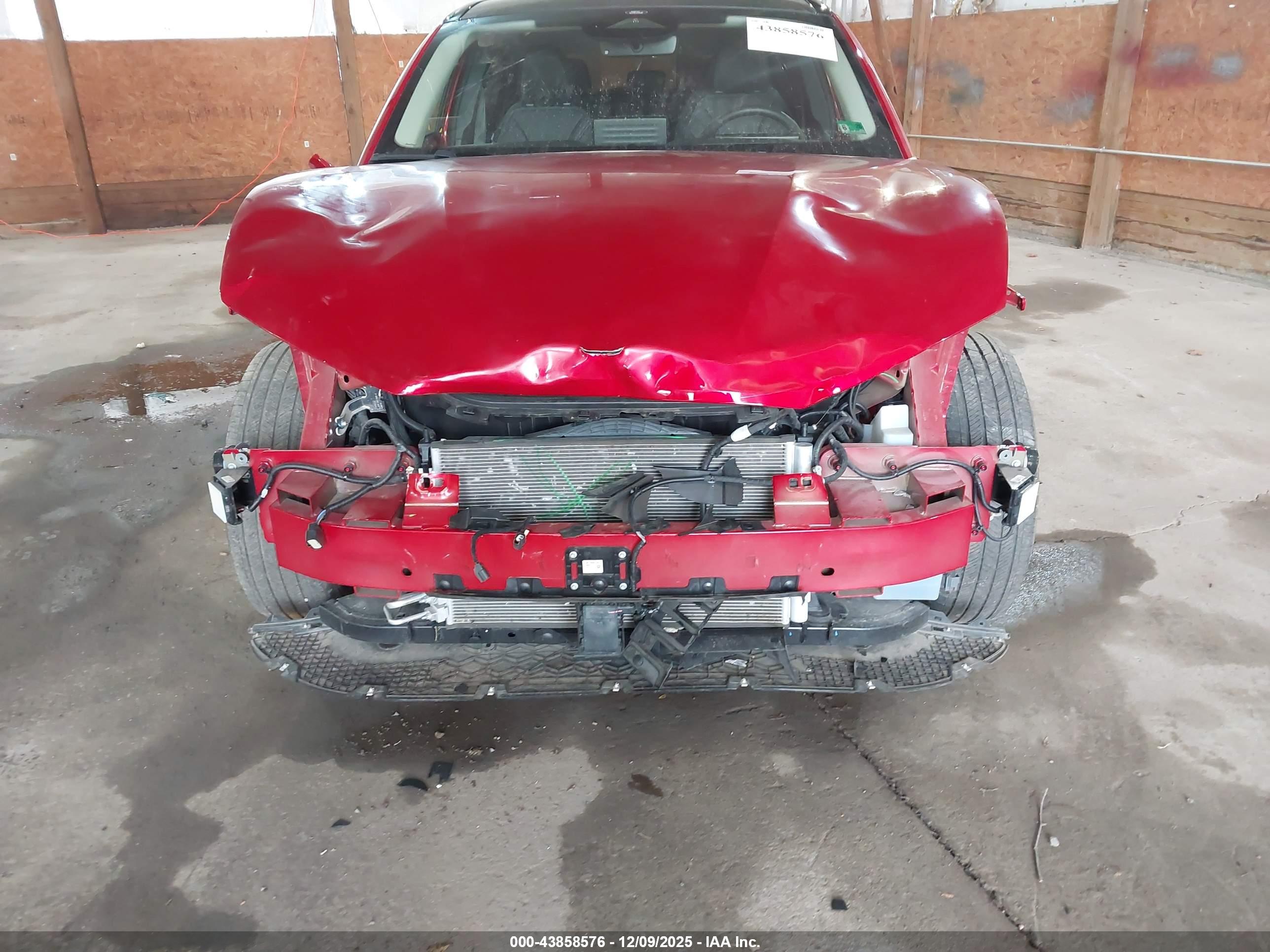 FORD MUSTANG image 6