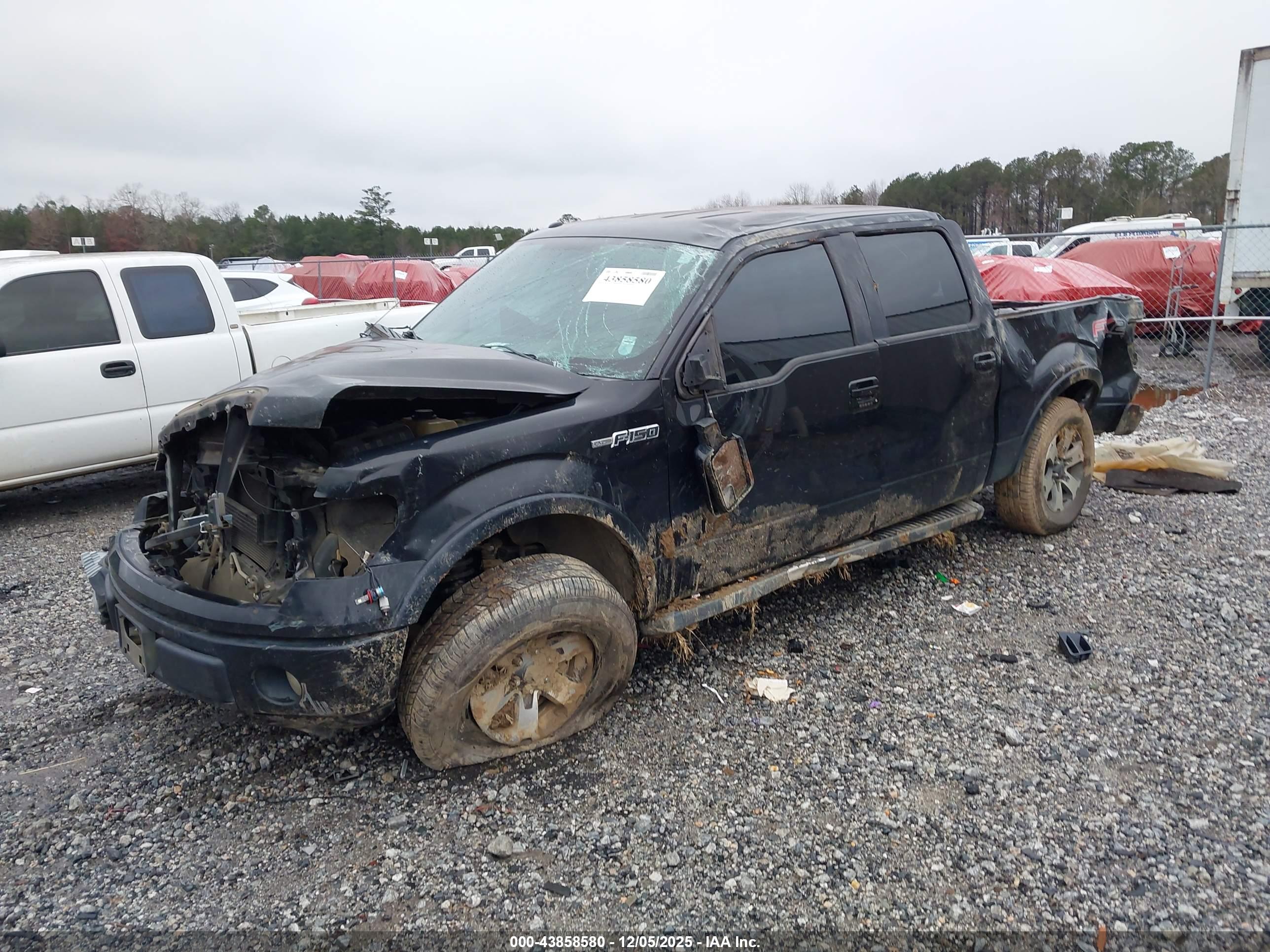 FORD F-150 image 2