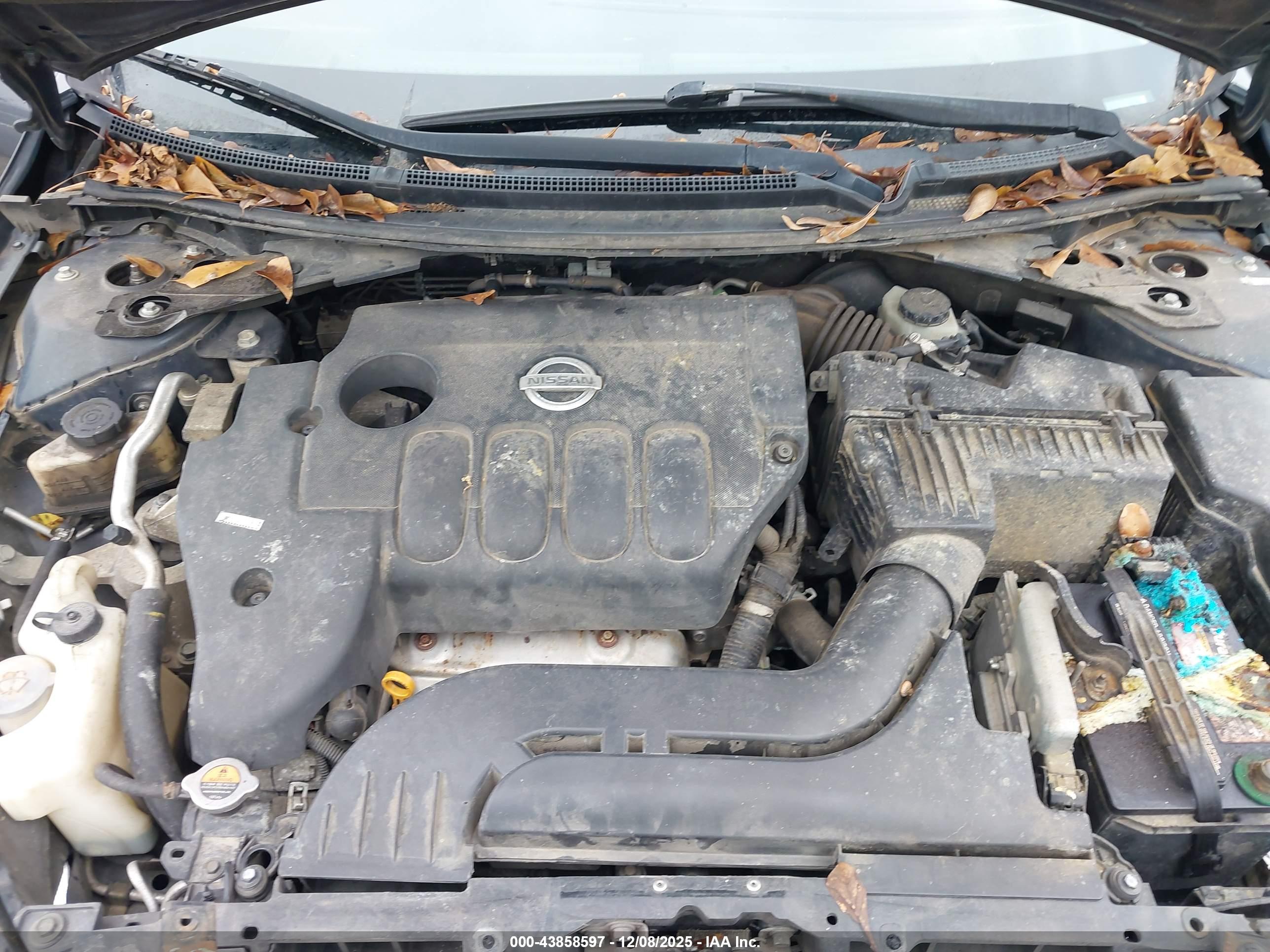 NISSAN ALTIMA image 10
