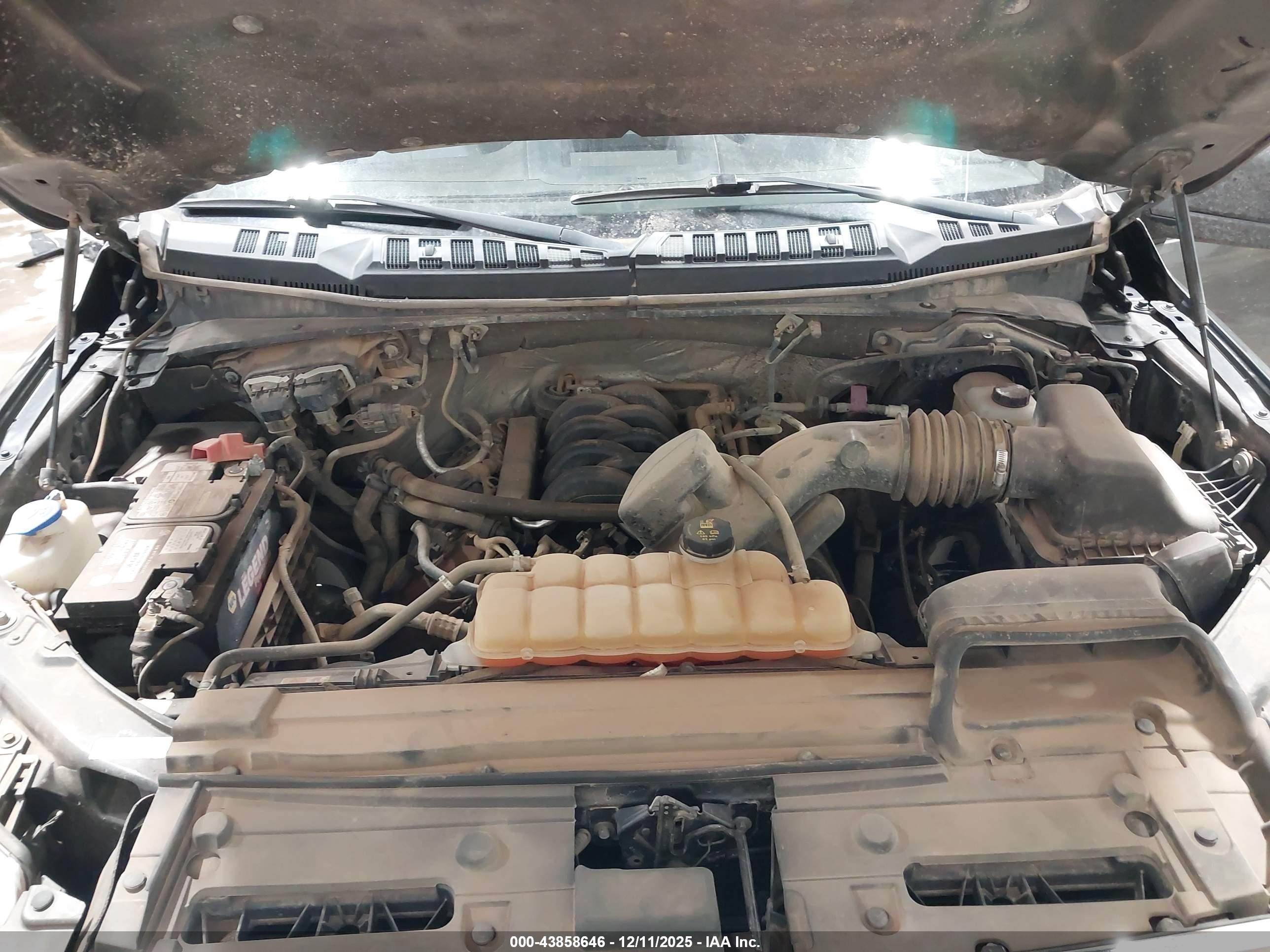 FORD F-150 image 10