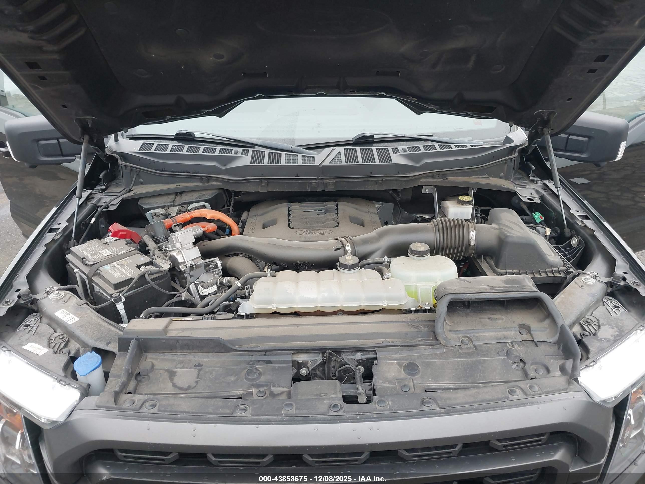 FORD F-150 image 10