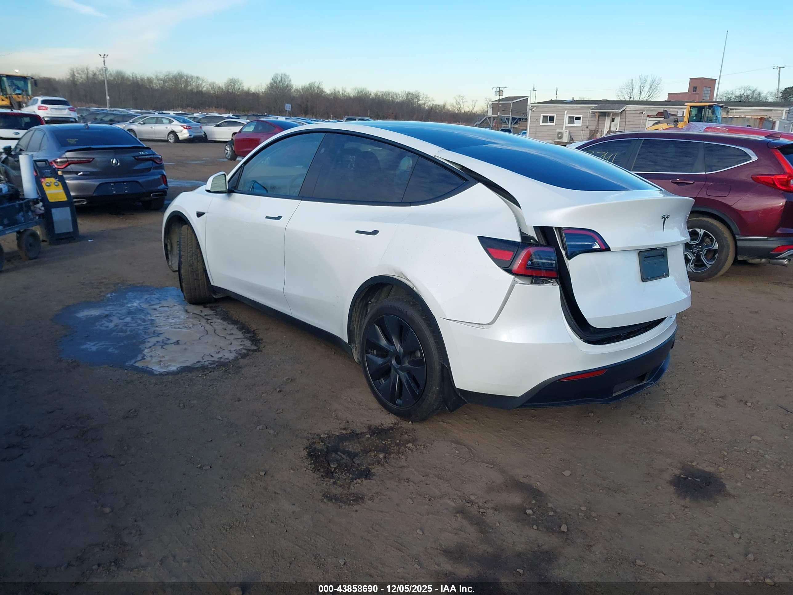 TESLA MODEL image 3