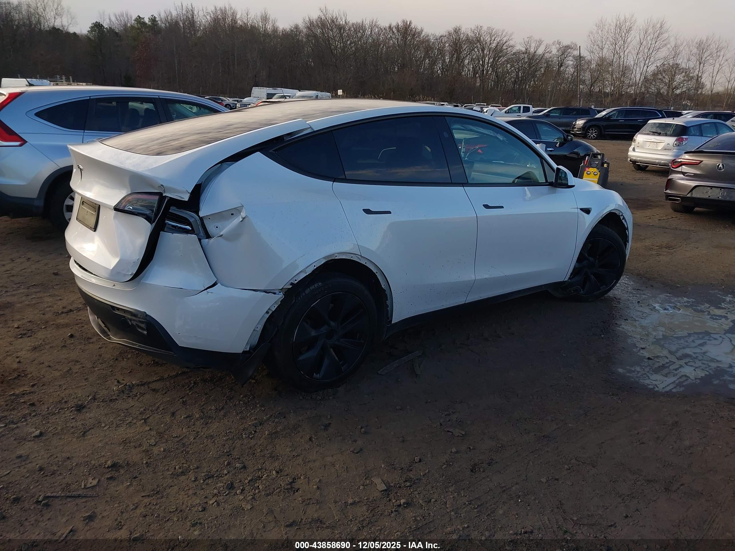 TESLA MODEL image 4