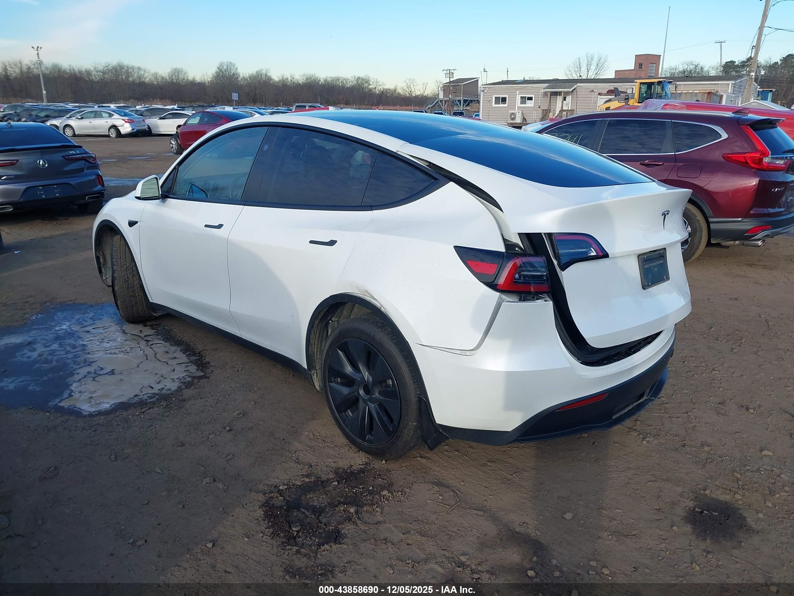 TESLA MODEL image 6