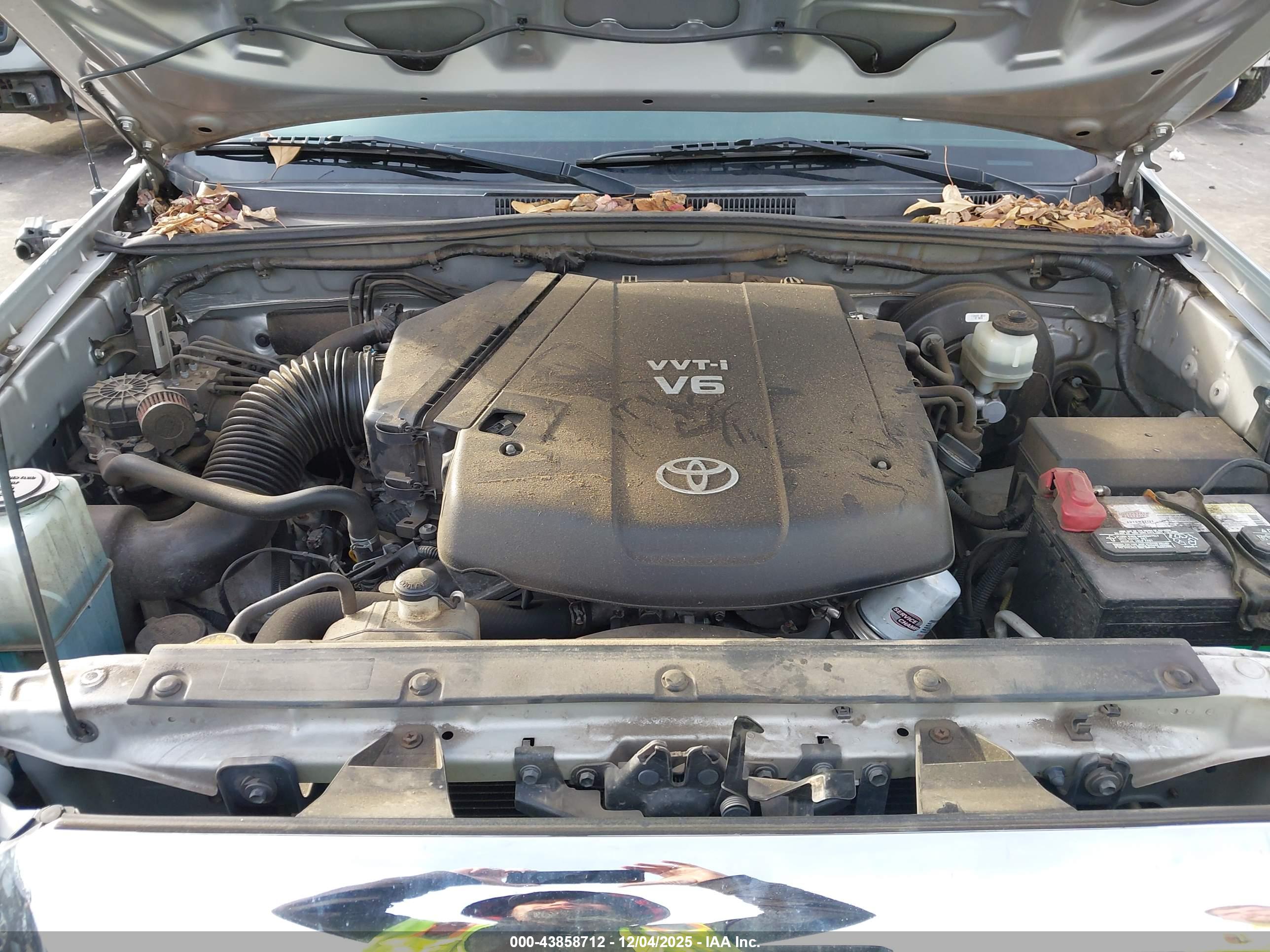 TOYOTA TACOMA image 10