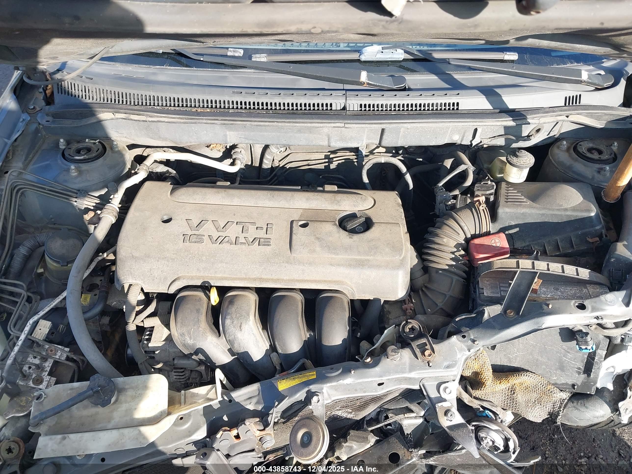 TOYOTA COROLLA image 10