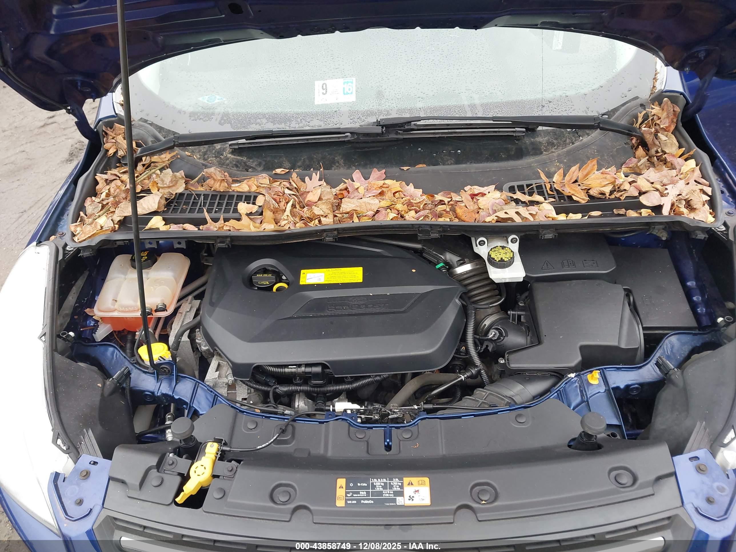 FORD ESCAPE image 10