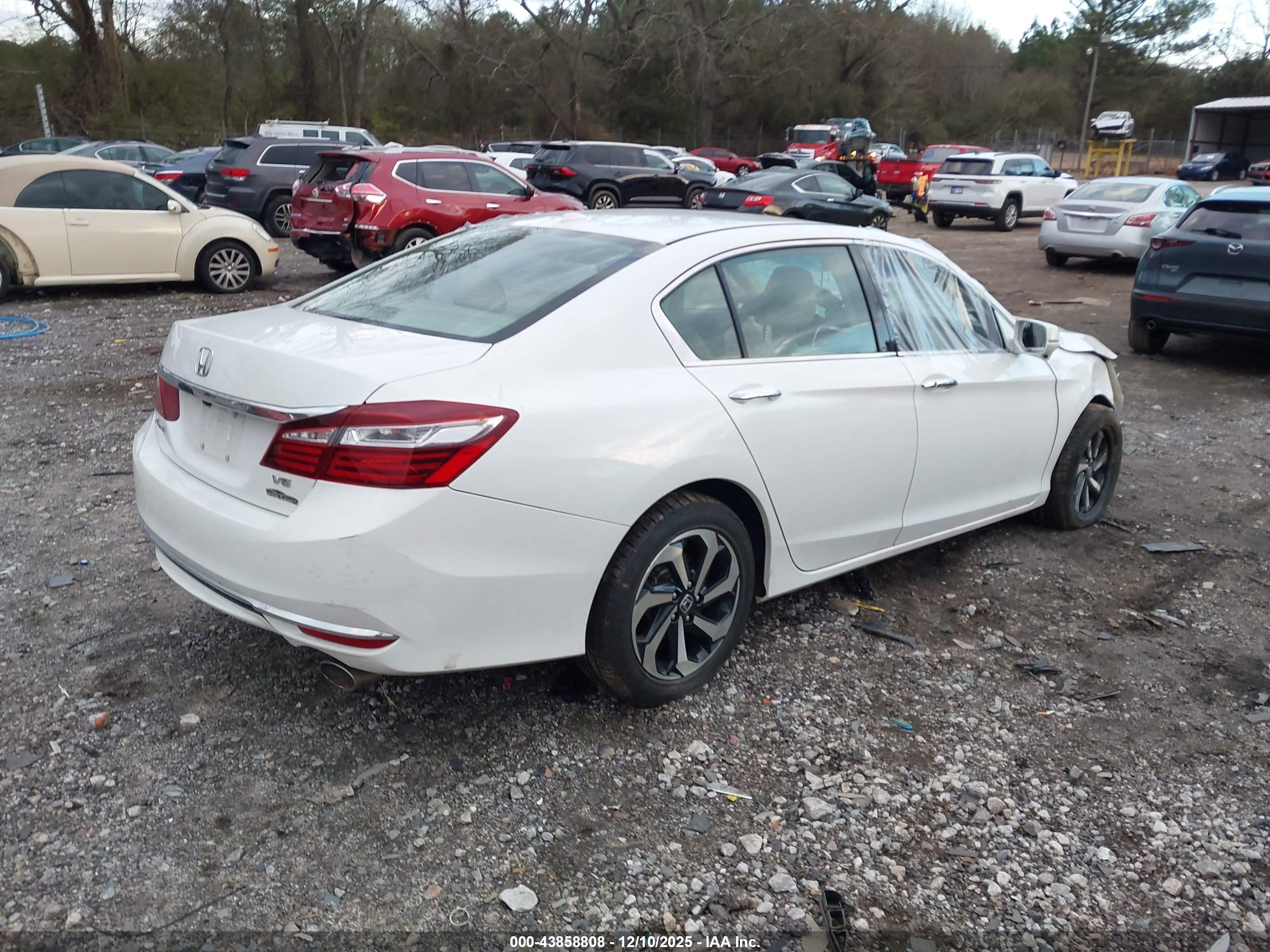 HONDA ACCORD image 4