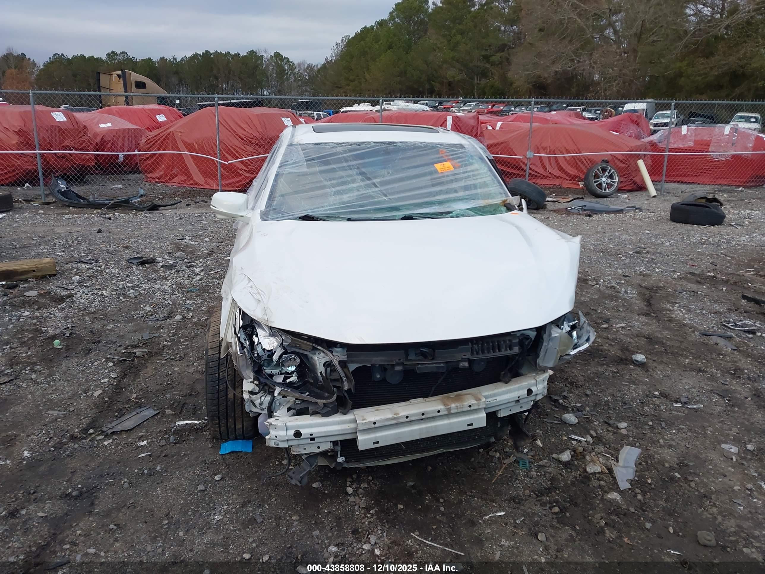 HONDA ACCORD image 6
