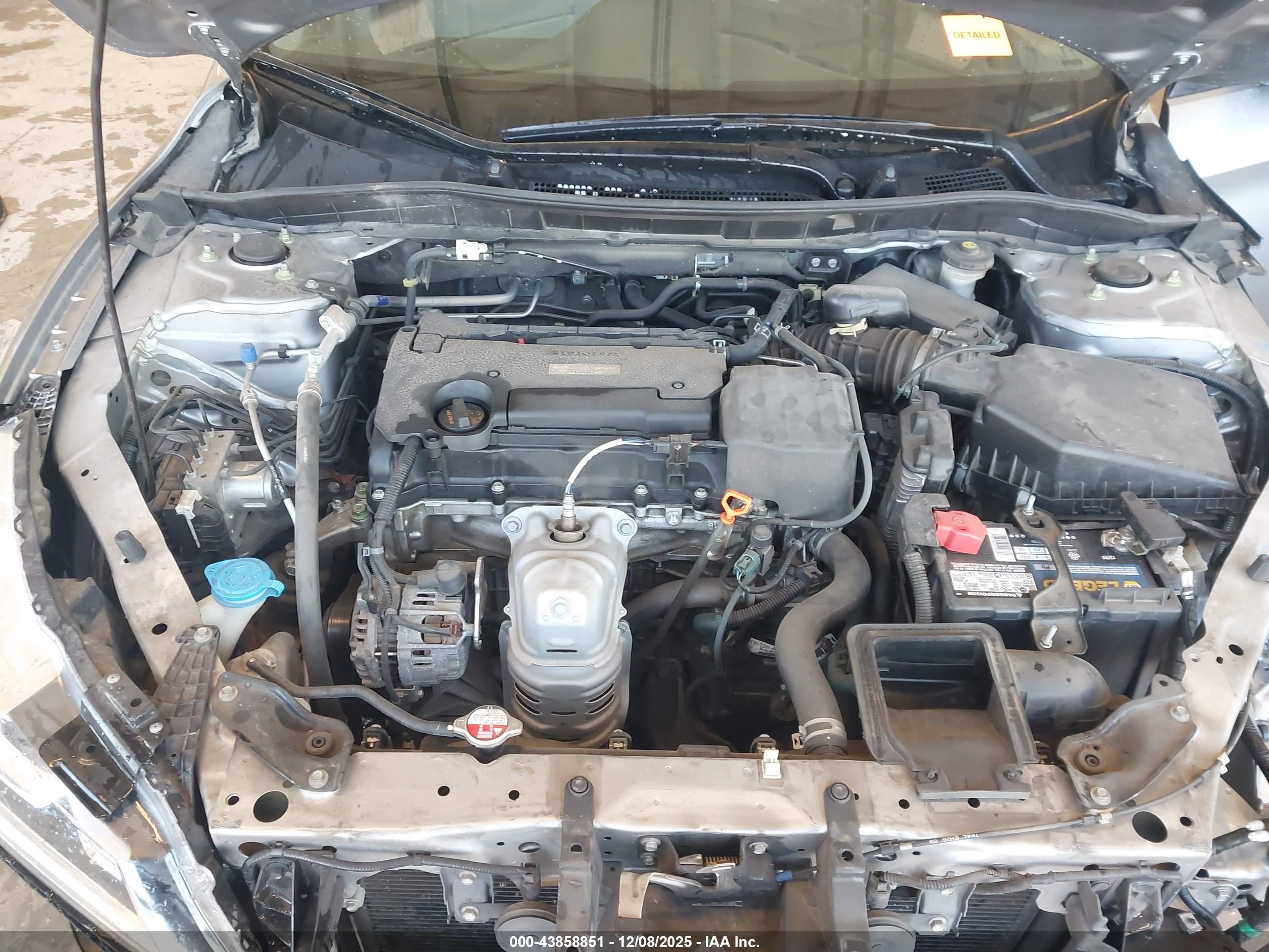 HONDA ACCORD image 10