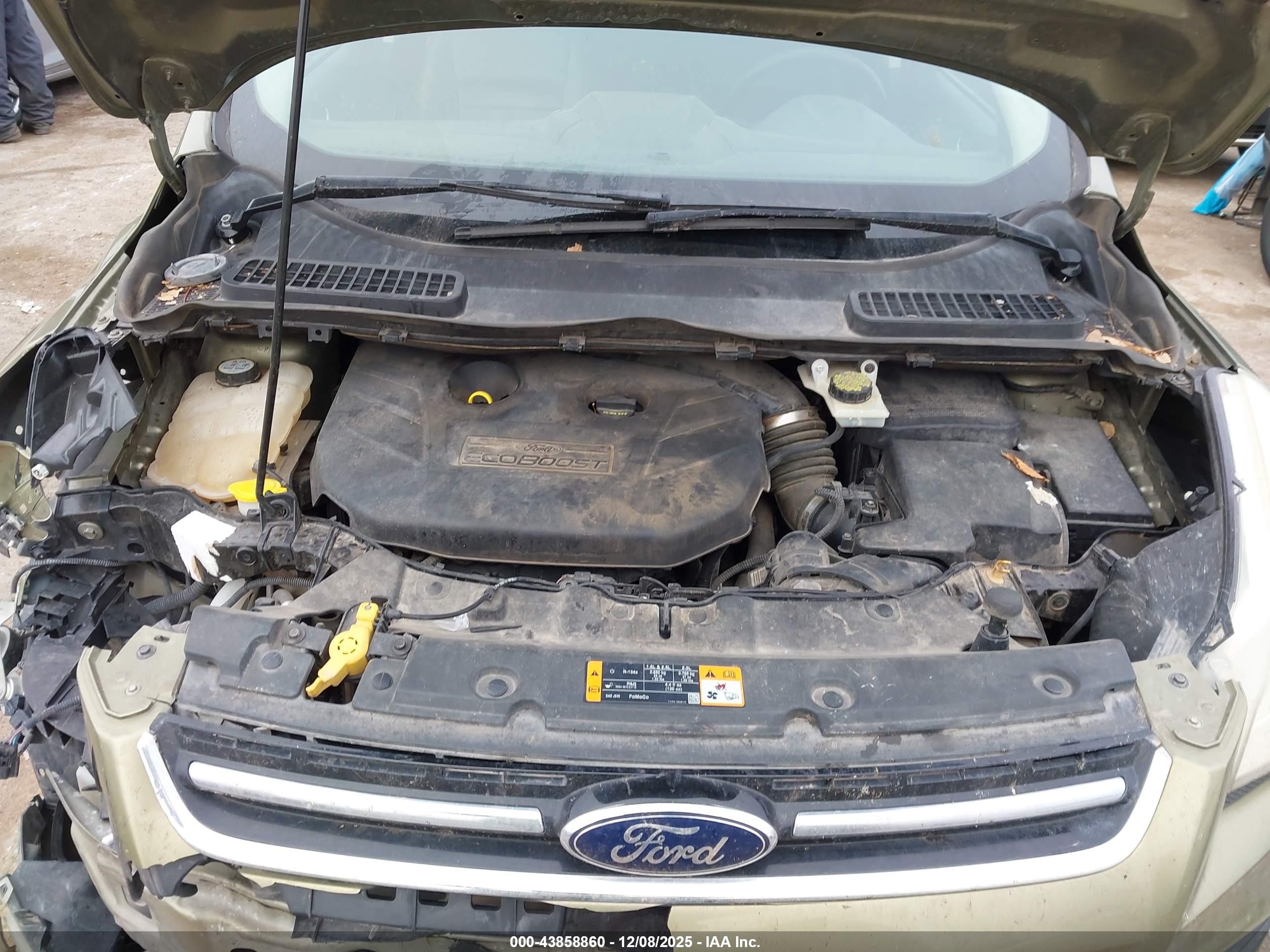 FORD ESCAPE image 10