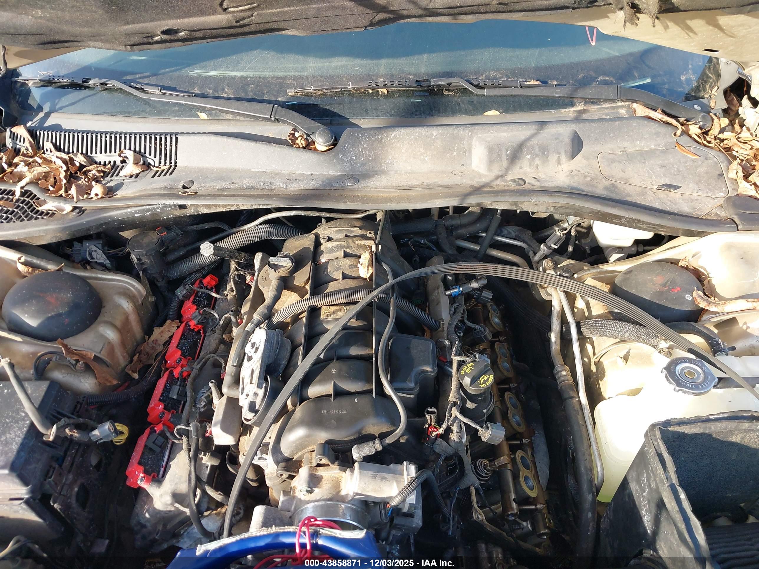 DODGE CHARGER image 10