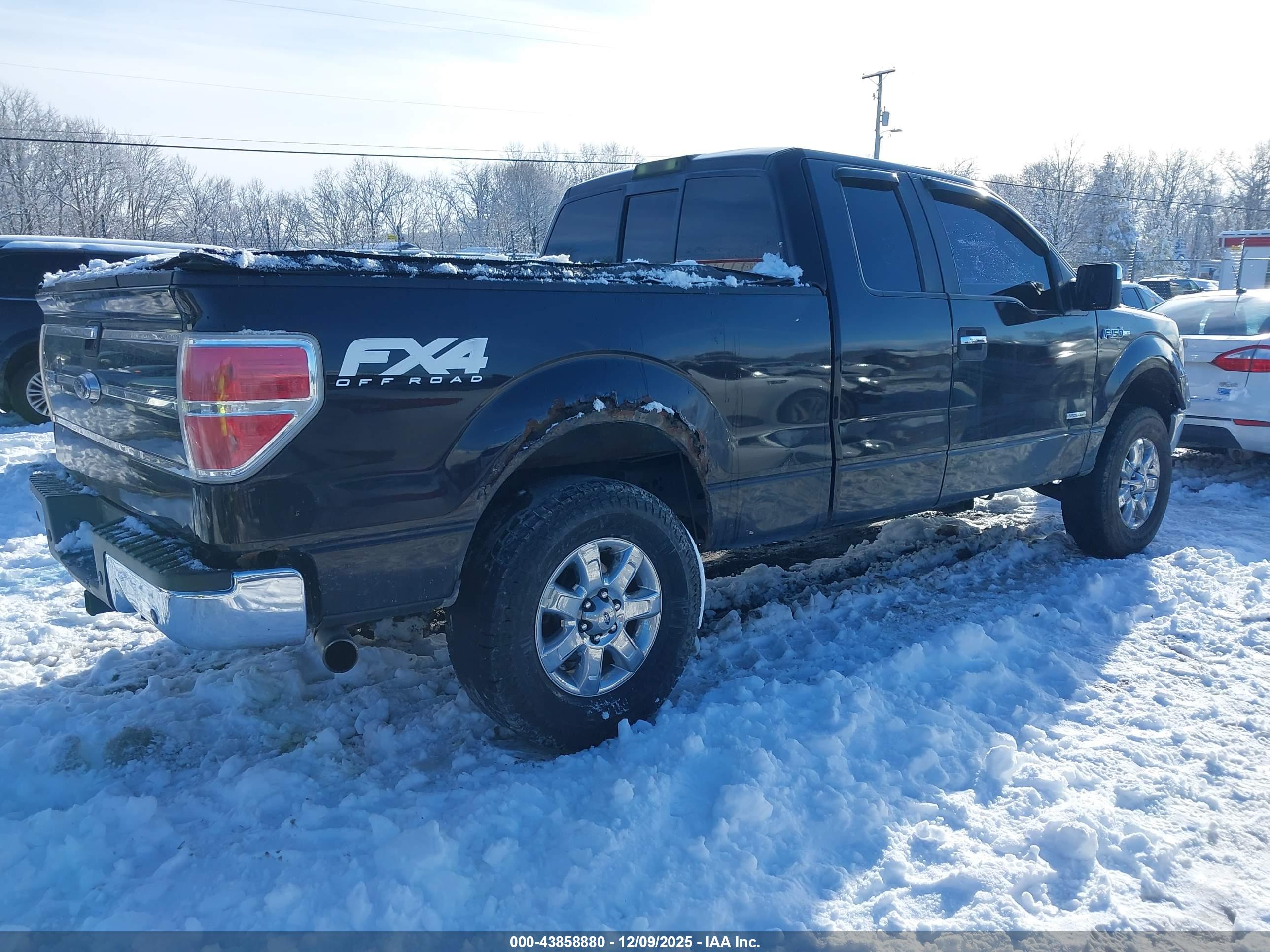 FORD F-150 image 4
