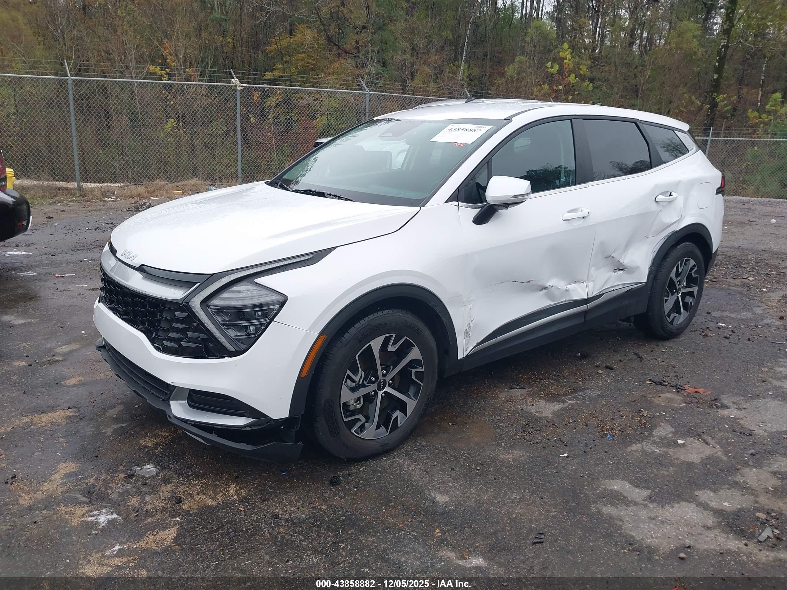 KIA SPORTAGE image 2