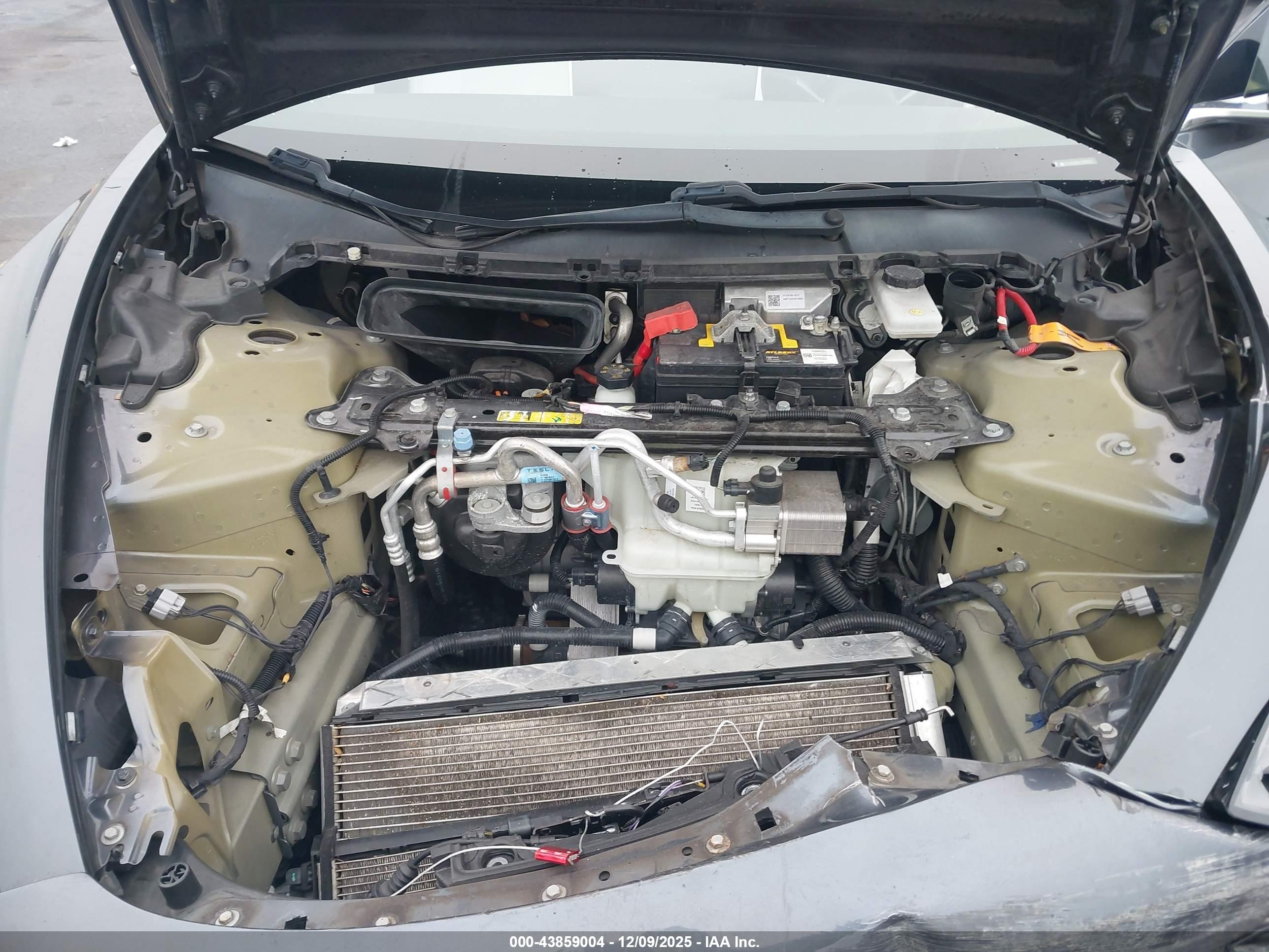 TESLA MODEL image 10