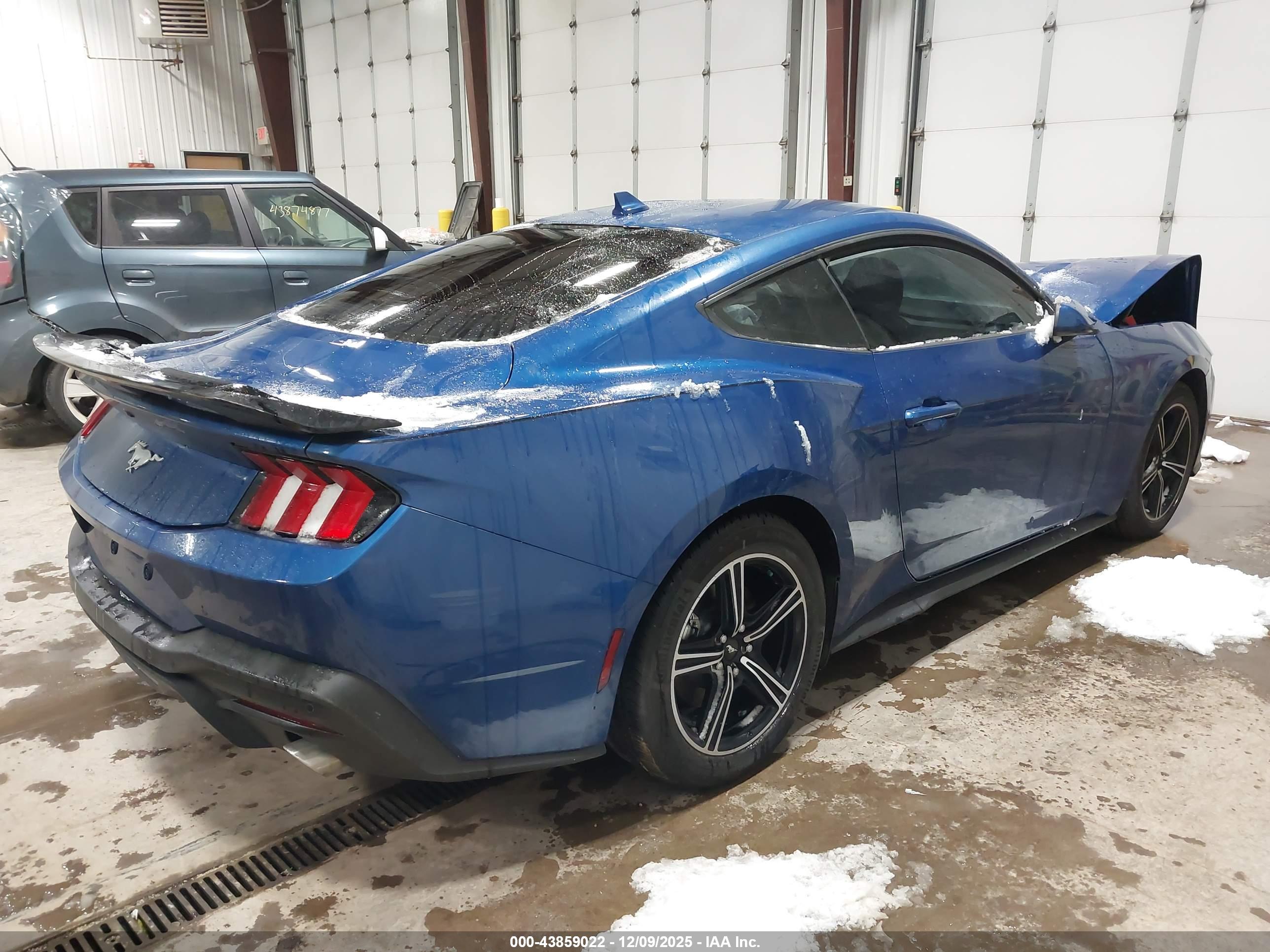 FORD MUSTANG image 4
