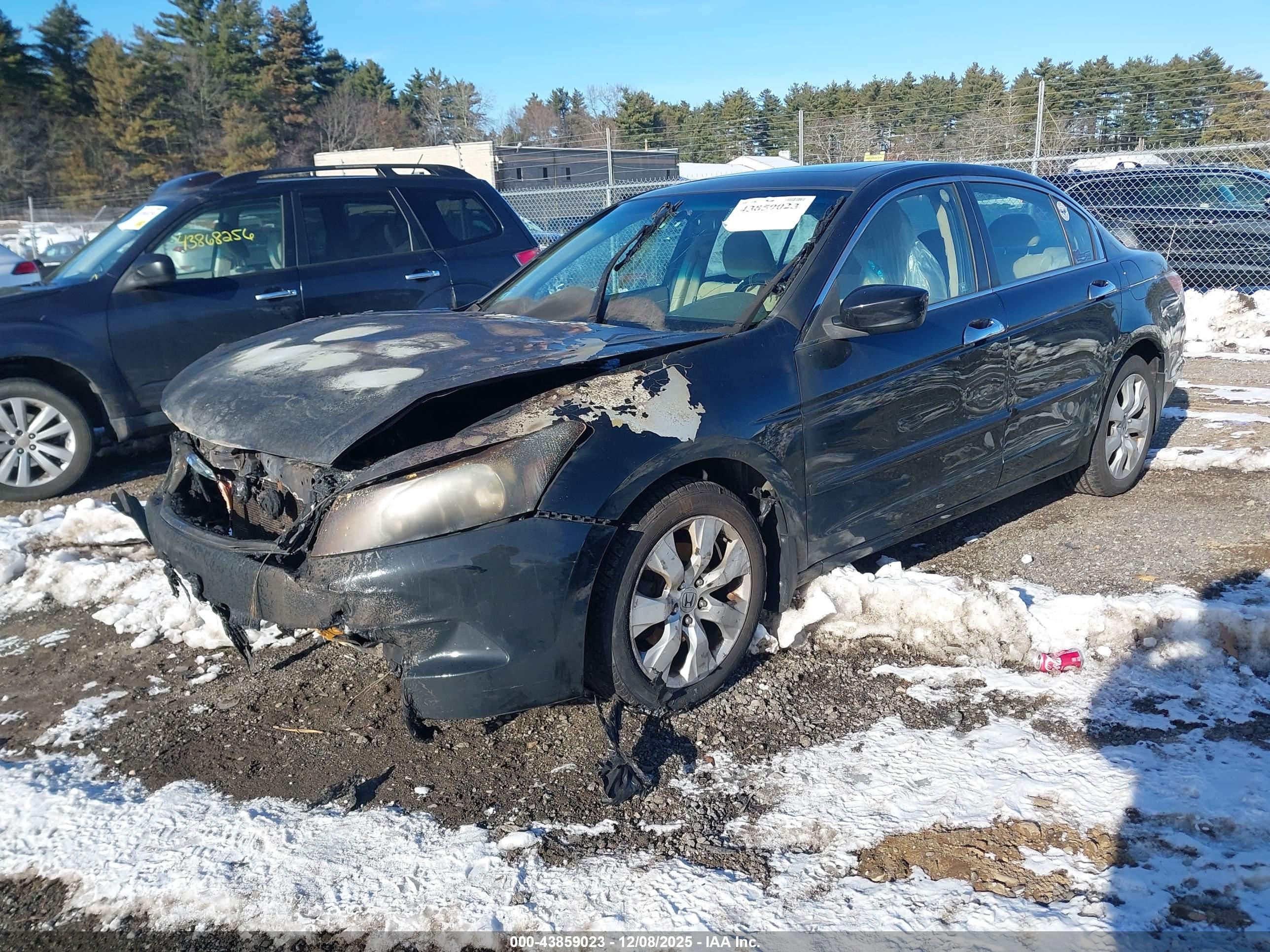 HONDA ACCORD image 2