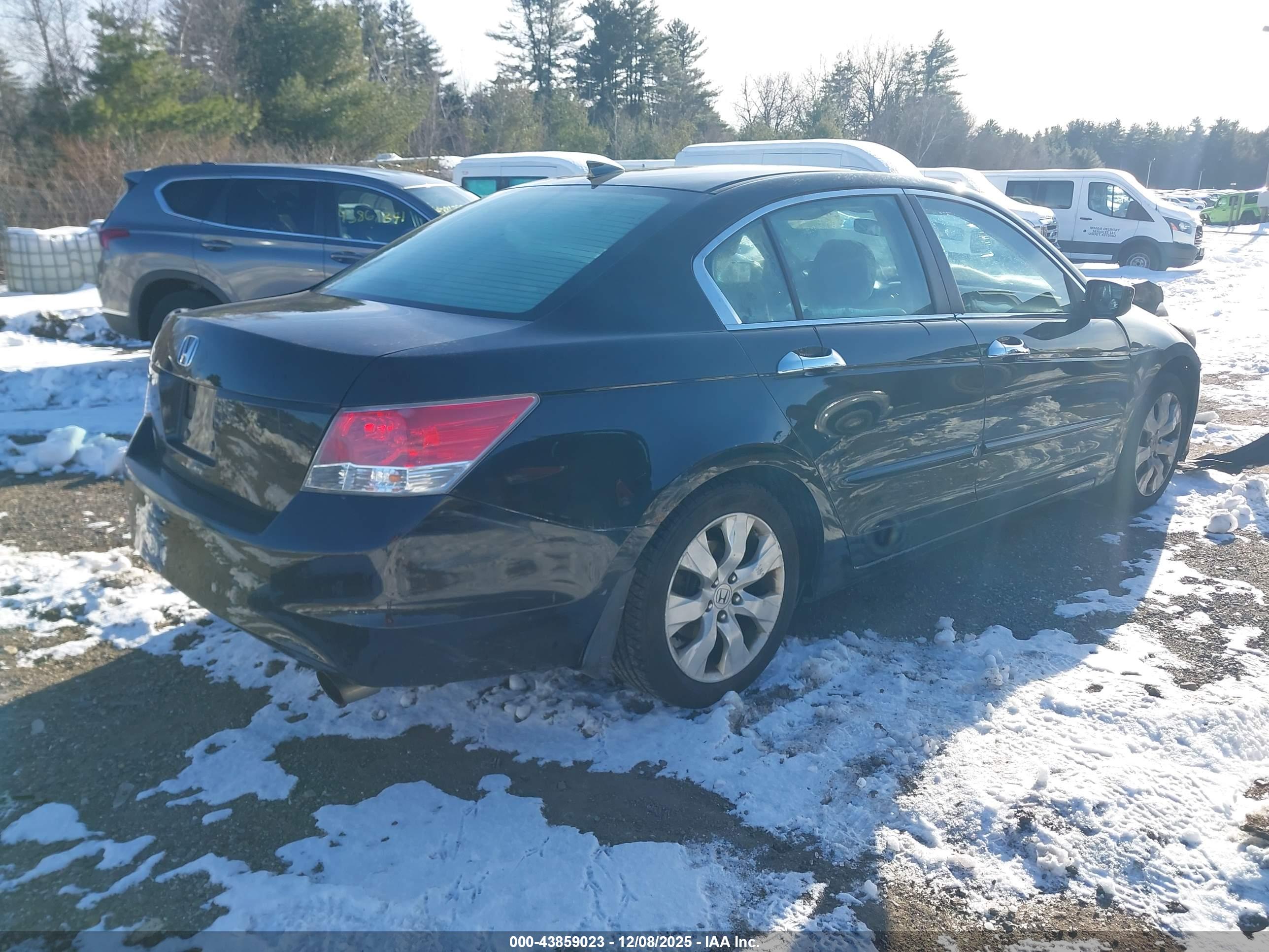 HONDA ACCORD image 4