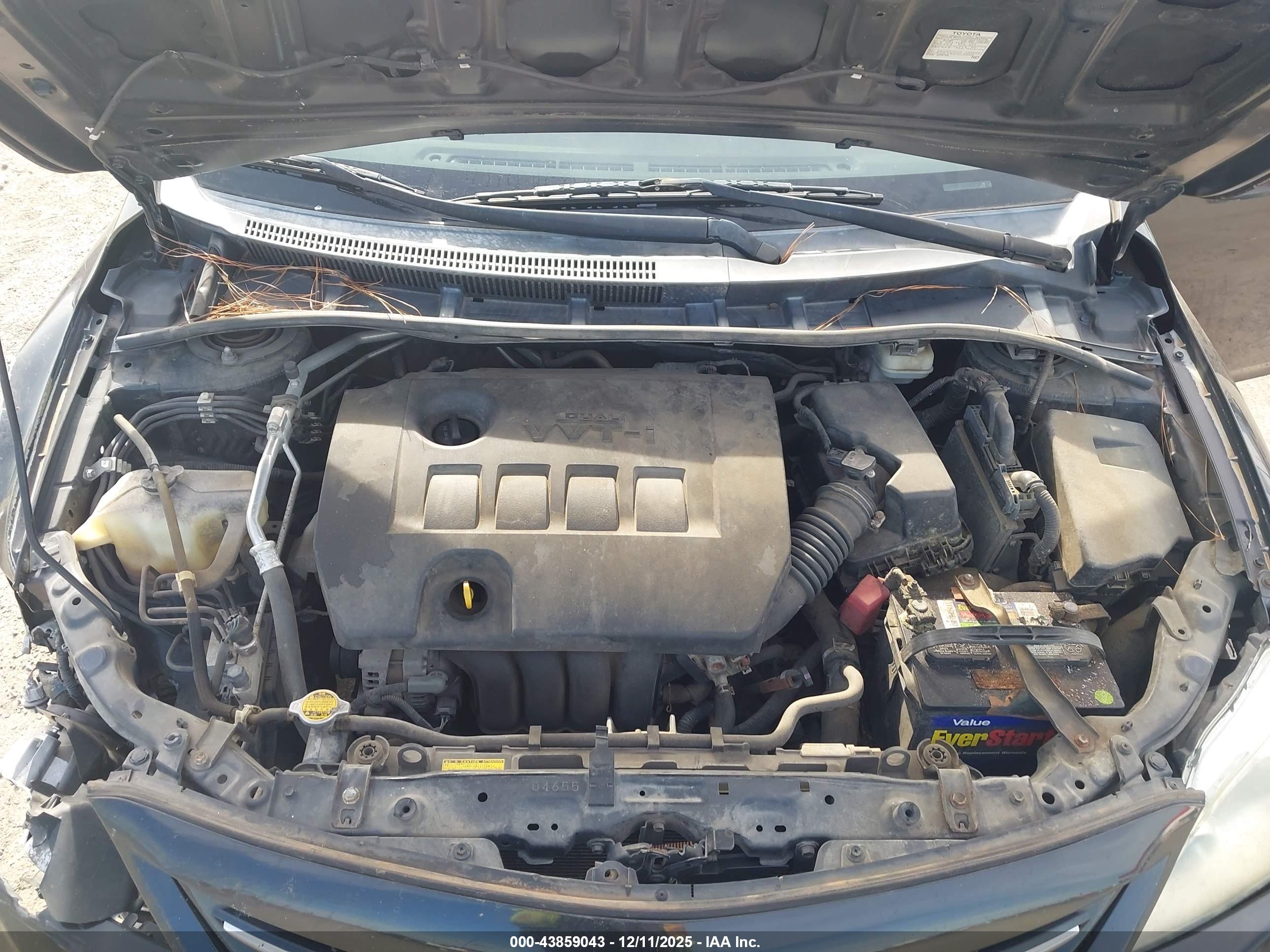 TOYOTA COROLLA image 10