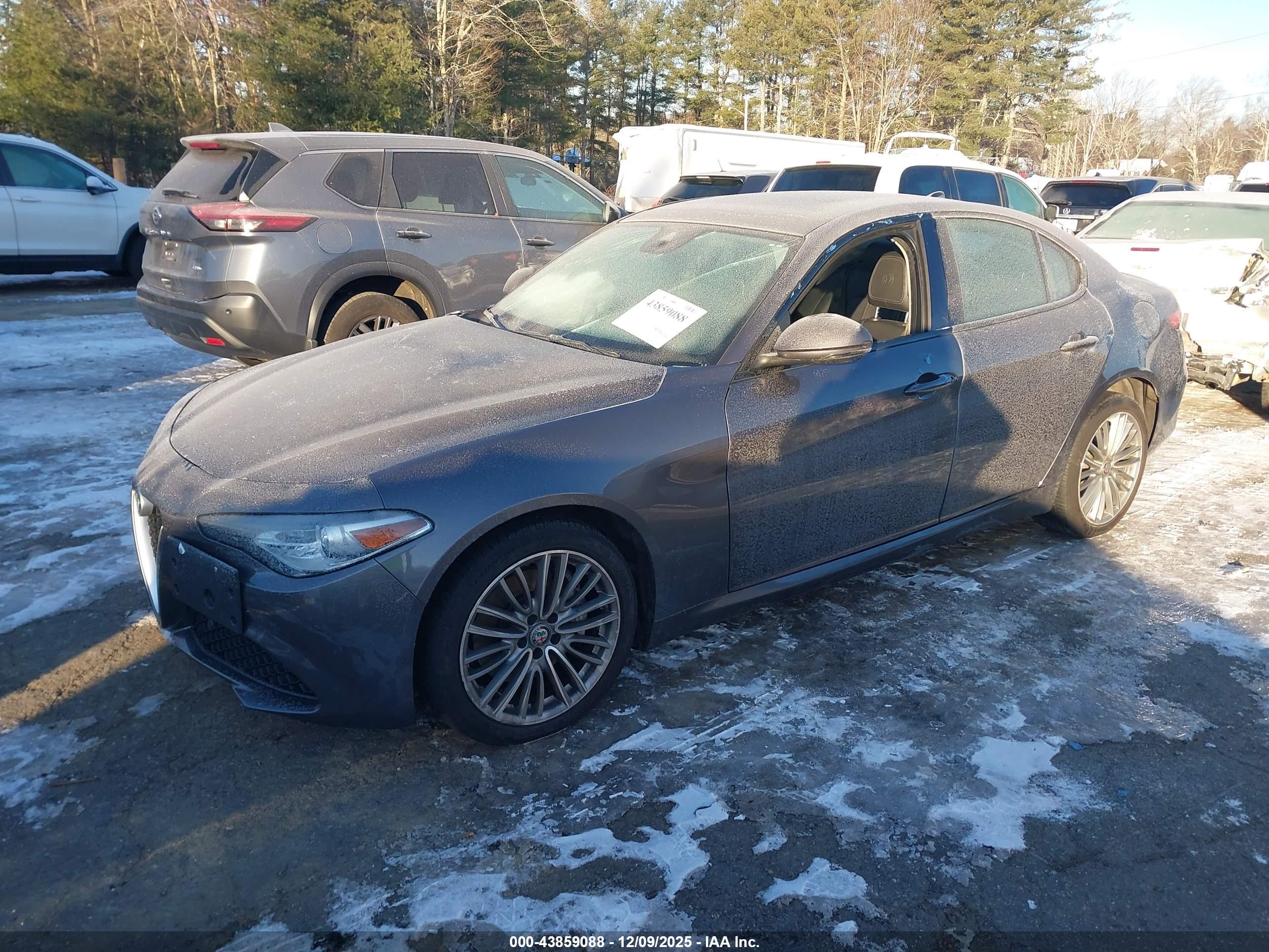ALFA ROMEO image 2