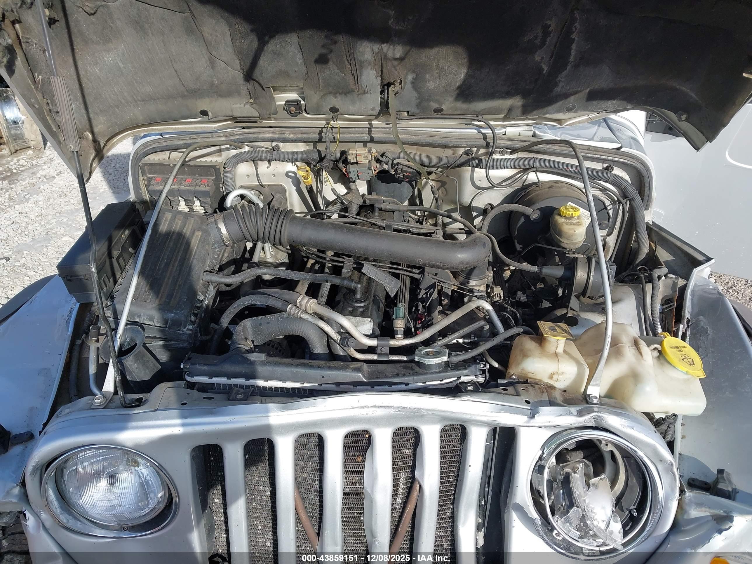 JEEP WRANGLER image 10