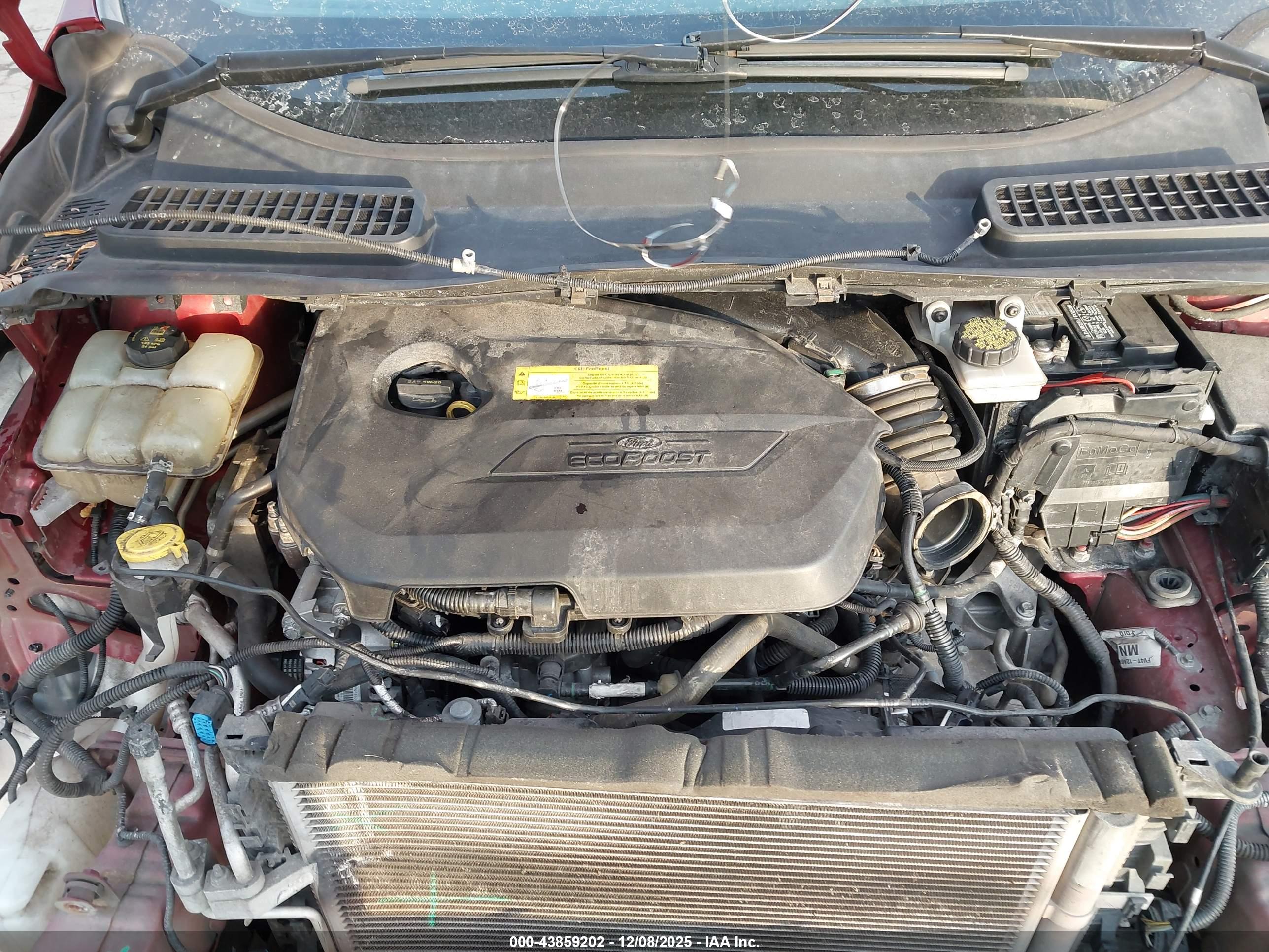 FORD ESCAPE image 10