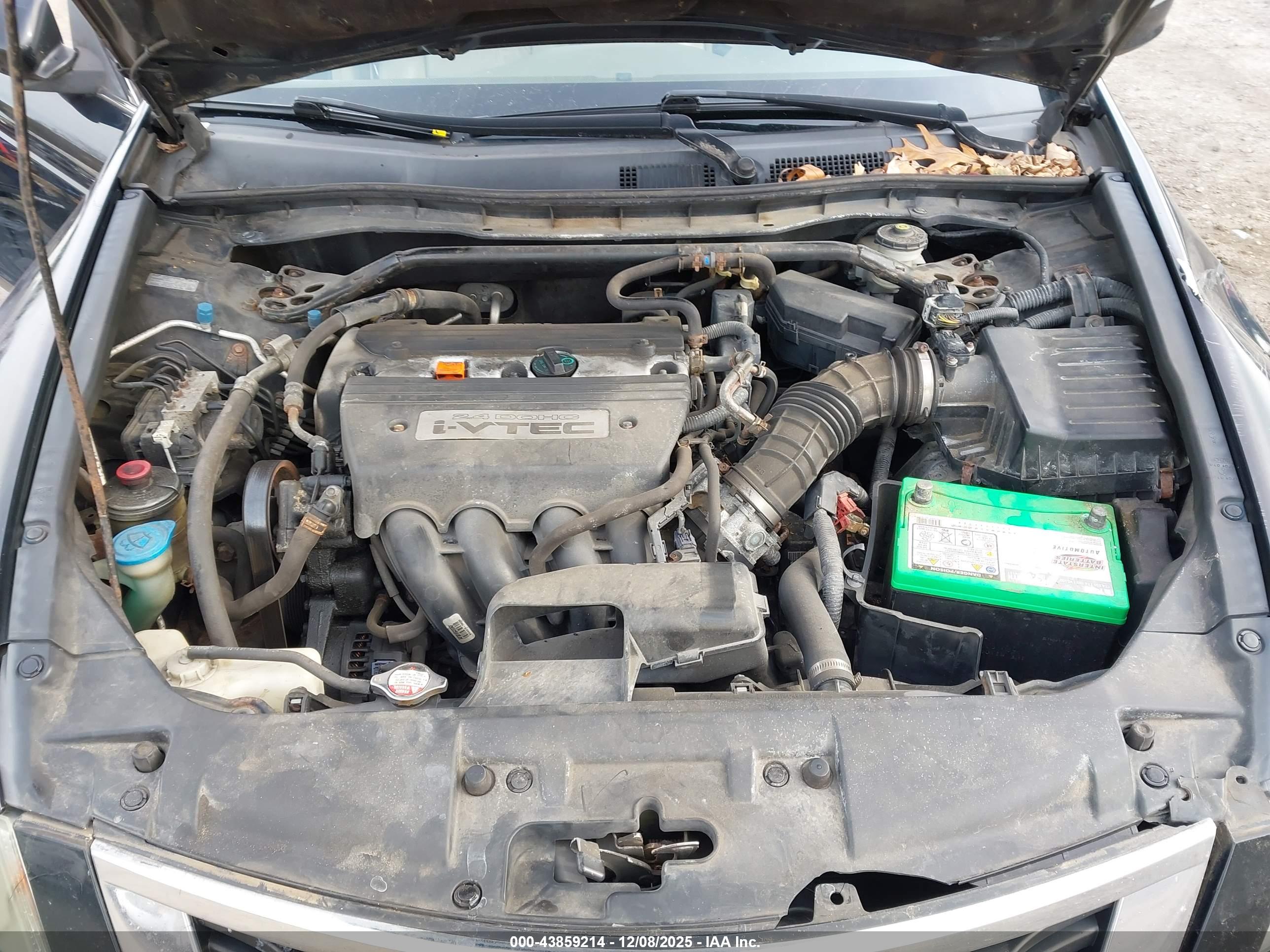 HONDA ACCORD image 10