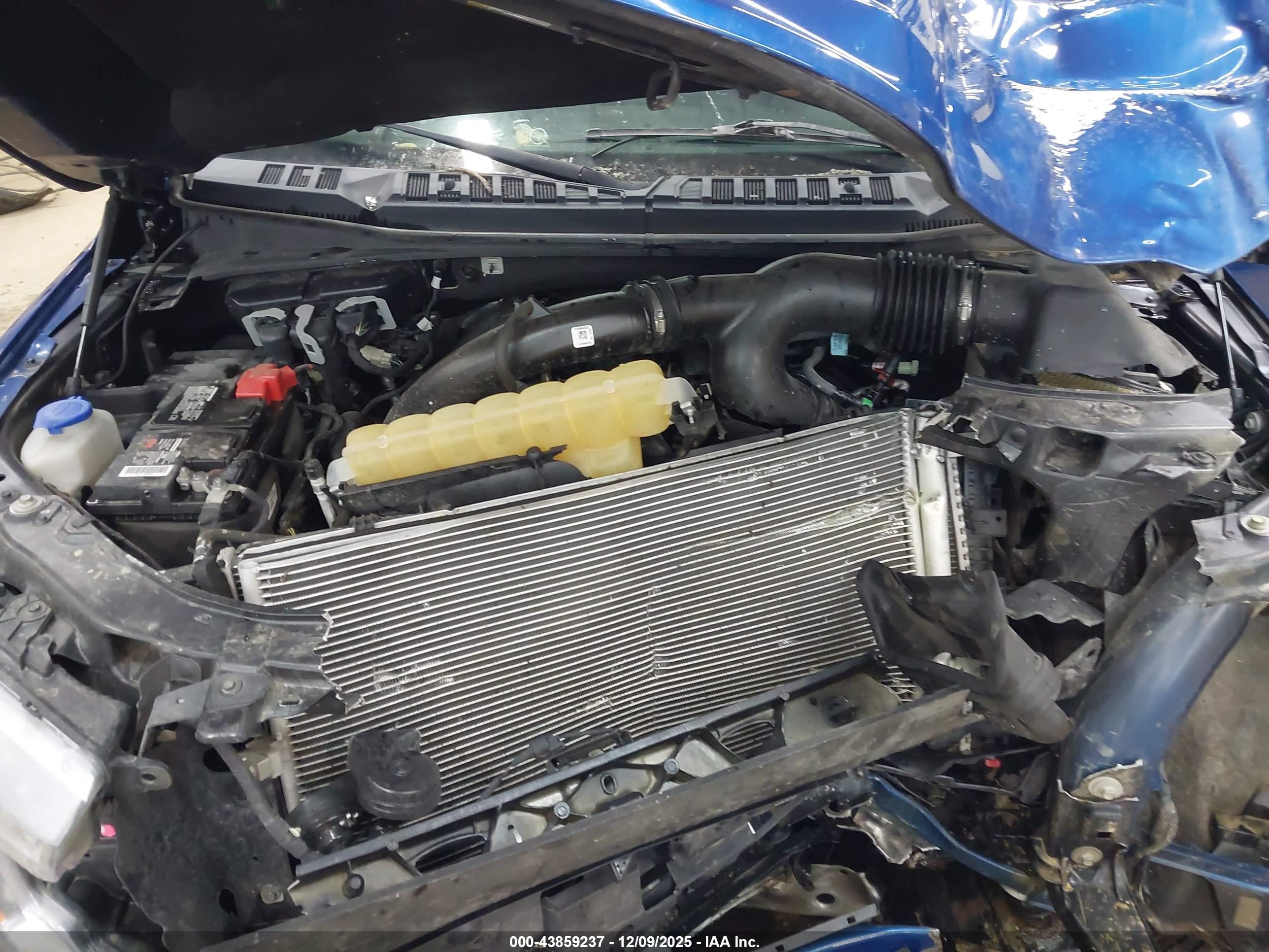 FORD F-150 image 10